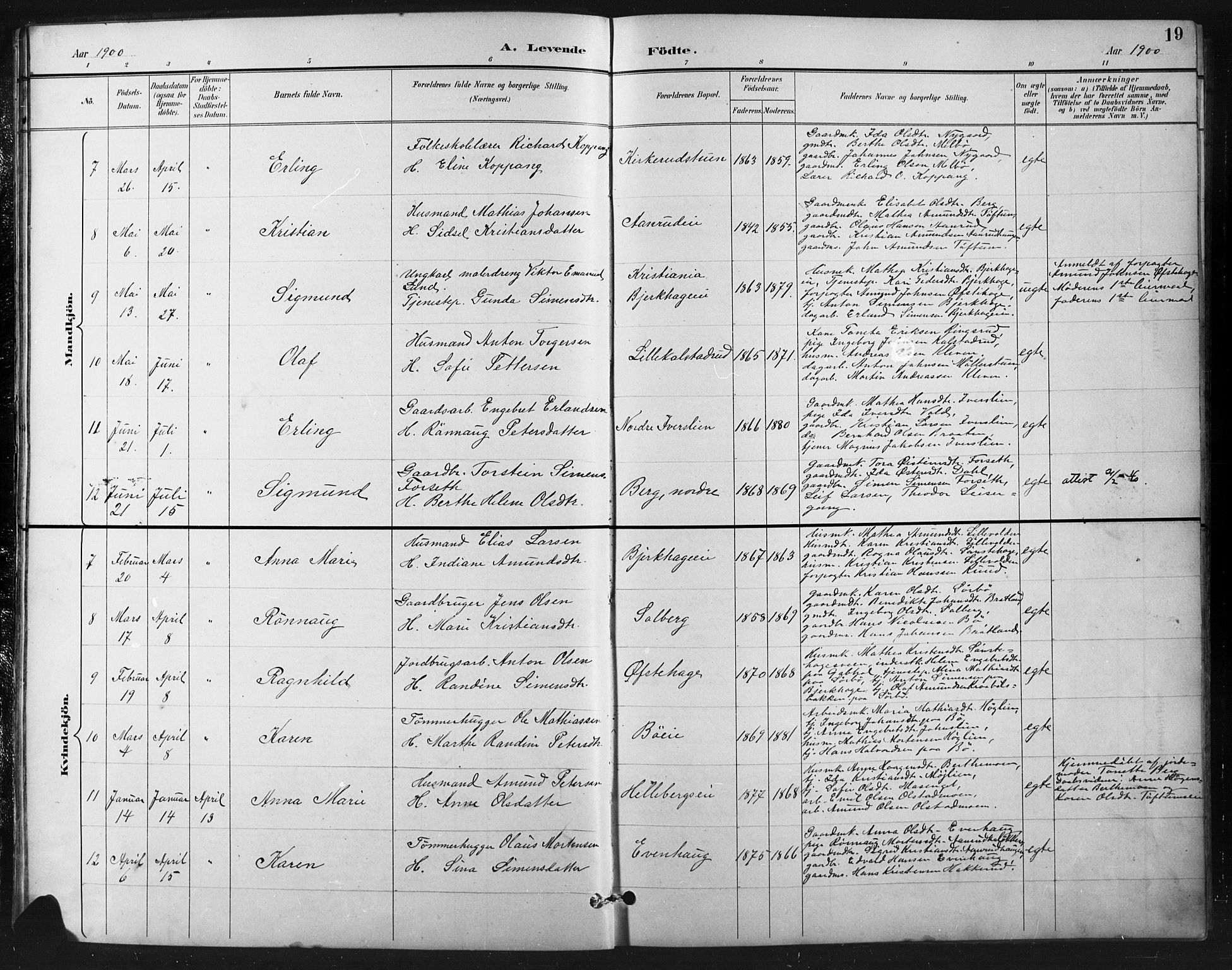 Vestre Gausdal prestekontor, SAH/PREST-094/H/Ha/Hab/L0003: Parish register (copy) no. 3, 1896-1925, p. 19