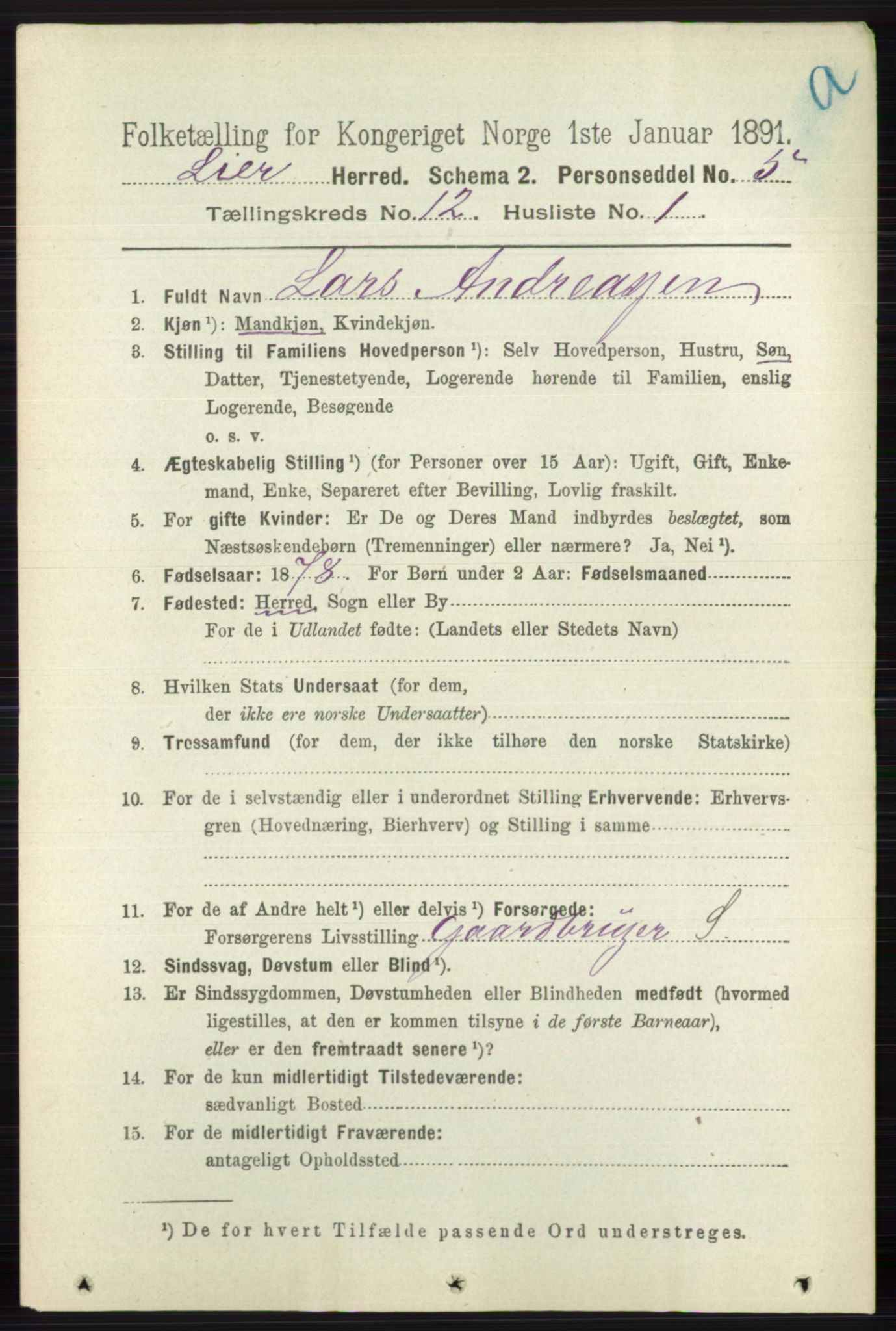 RA, 1891 census for 0626 Lier, 1891, p. 7367