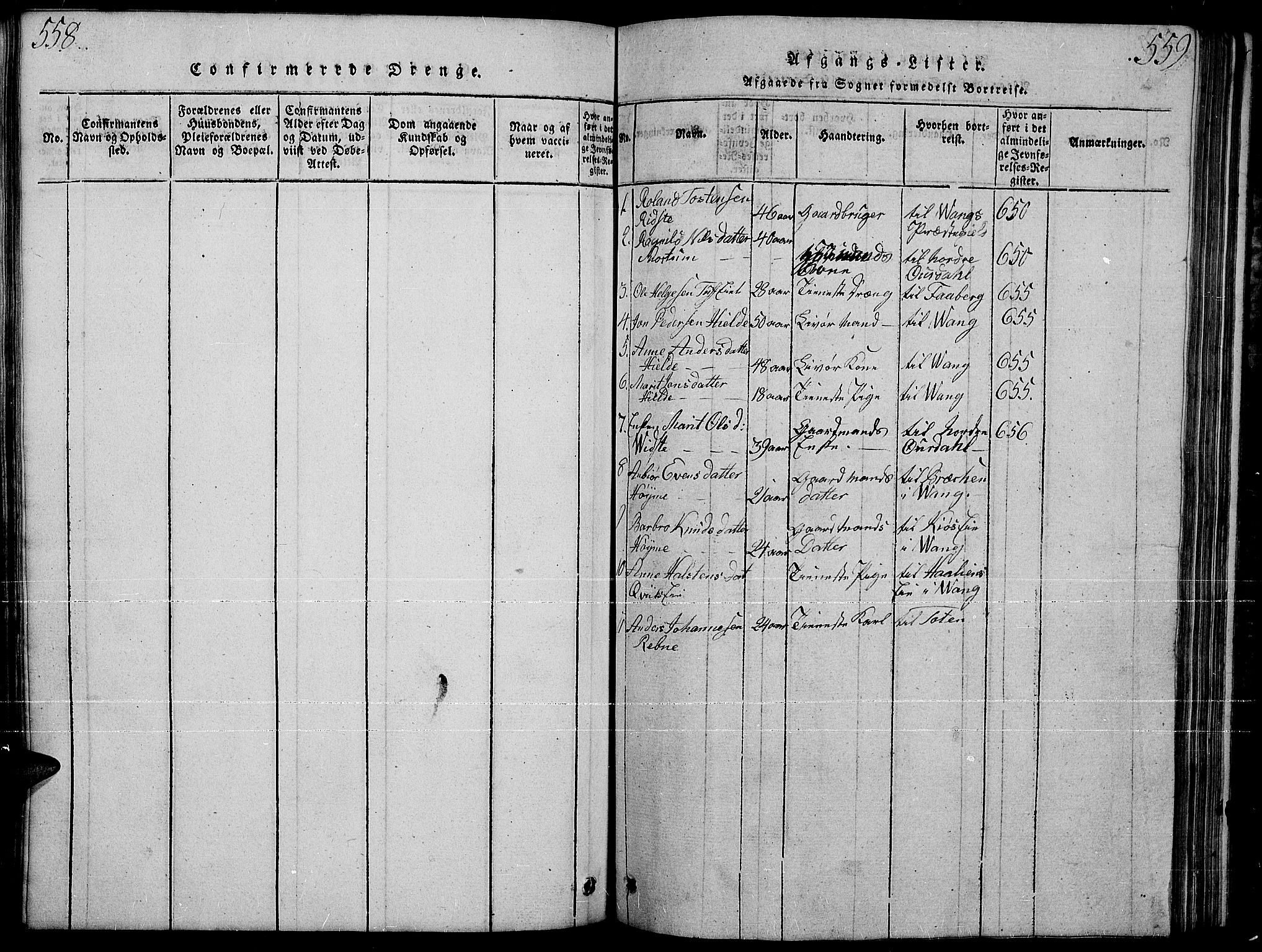 Slidre prestekontor, SAH/PREST-134/H/Ha/Hab/L0001: Parish register (copy) no. 1, 1814-1838, p. 558-559