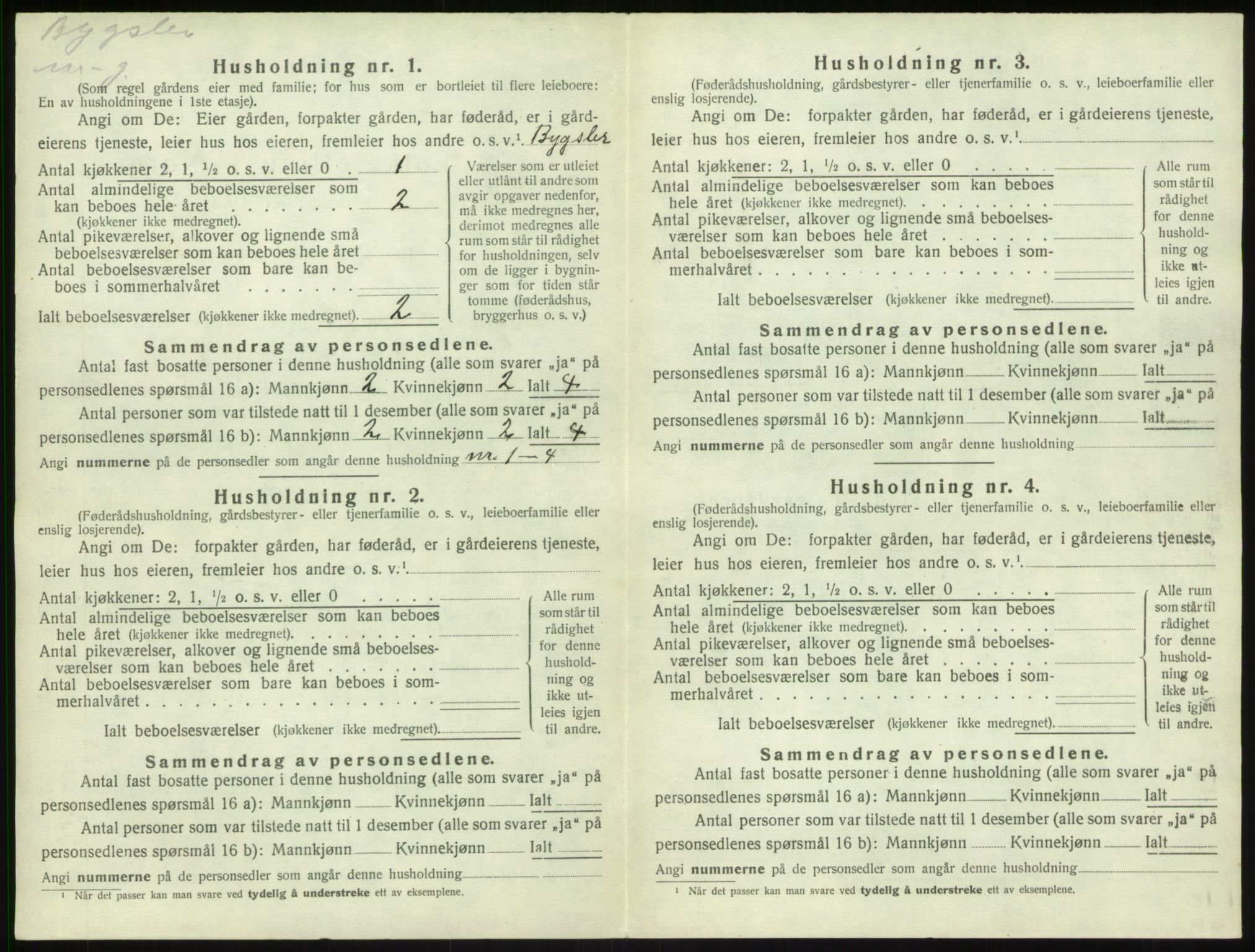 SAB, 1920 census for Sogndal, 1920, p. 1213