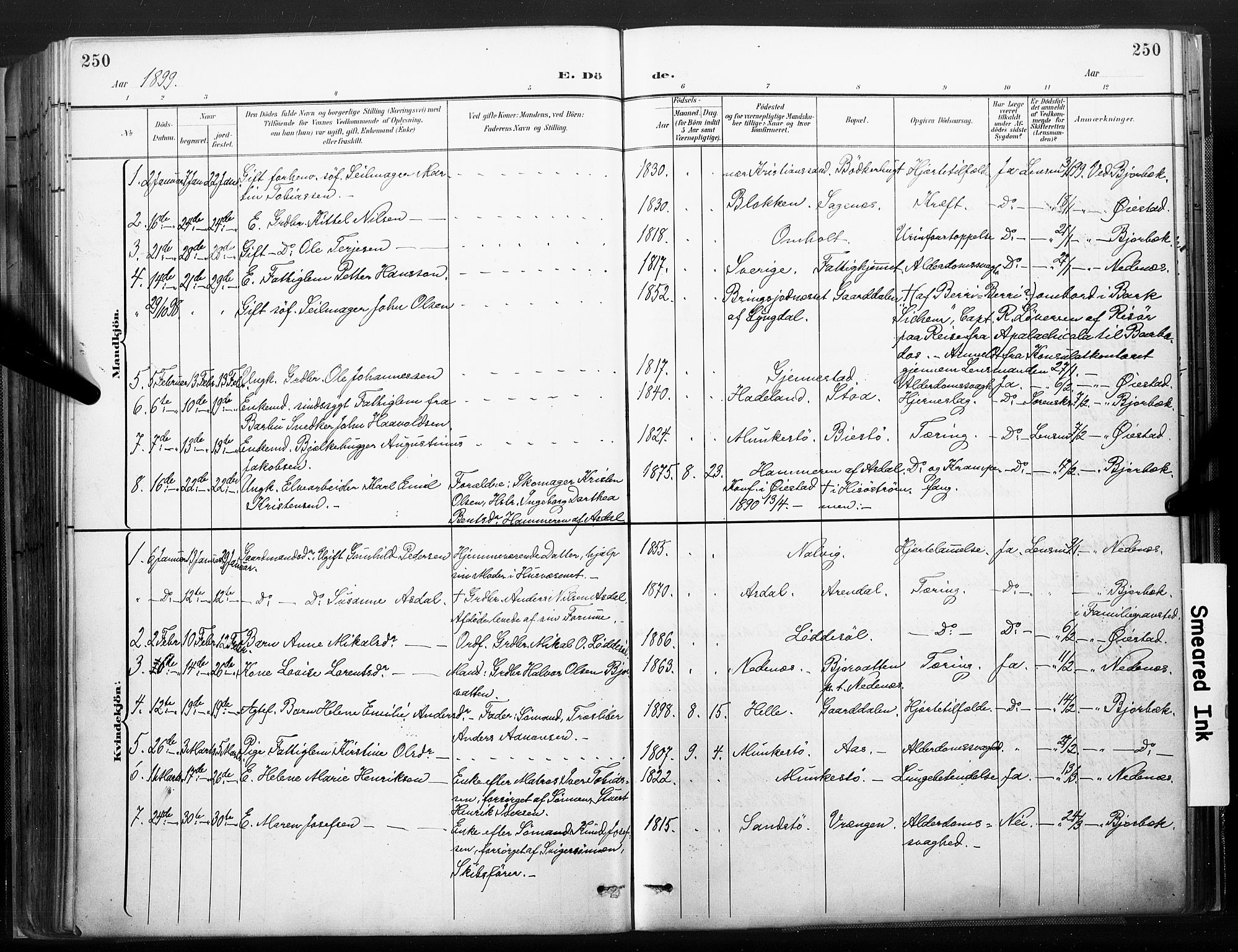 Øyestad sokneprestkontor, AV/SAK-1111-0049/F/Fa/L0018: Parish register (official) no. A 18, 1897-1907, p. 250