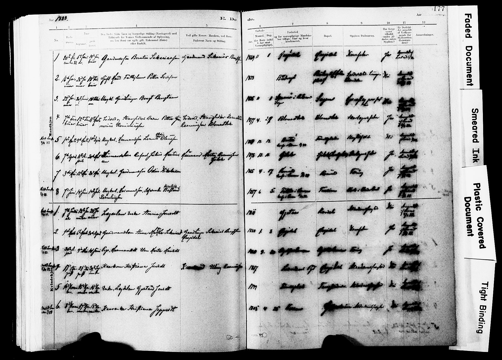 Ministerialprotokoller, klokkerbøker og fødselsregistre - Nord-Trøndelag, SAT/A-1458/744/L0420: Parish register (official) no. 744A04, 1882-1904, p. 177