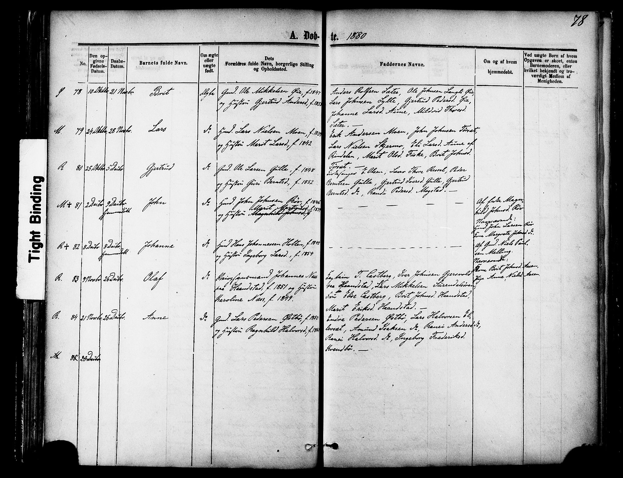 Ministerialprotokoller, klokkerbøker og fødselsregistre - Møre og Romsdal, AV/SAT-A-1454/595/L1046: Parish register (official) no. 595A08, 1874-1884, p. 78