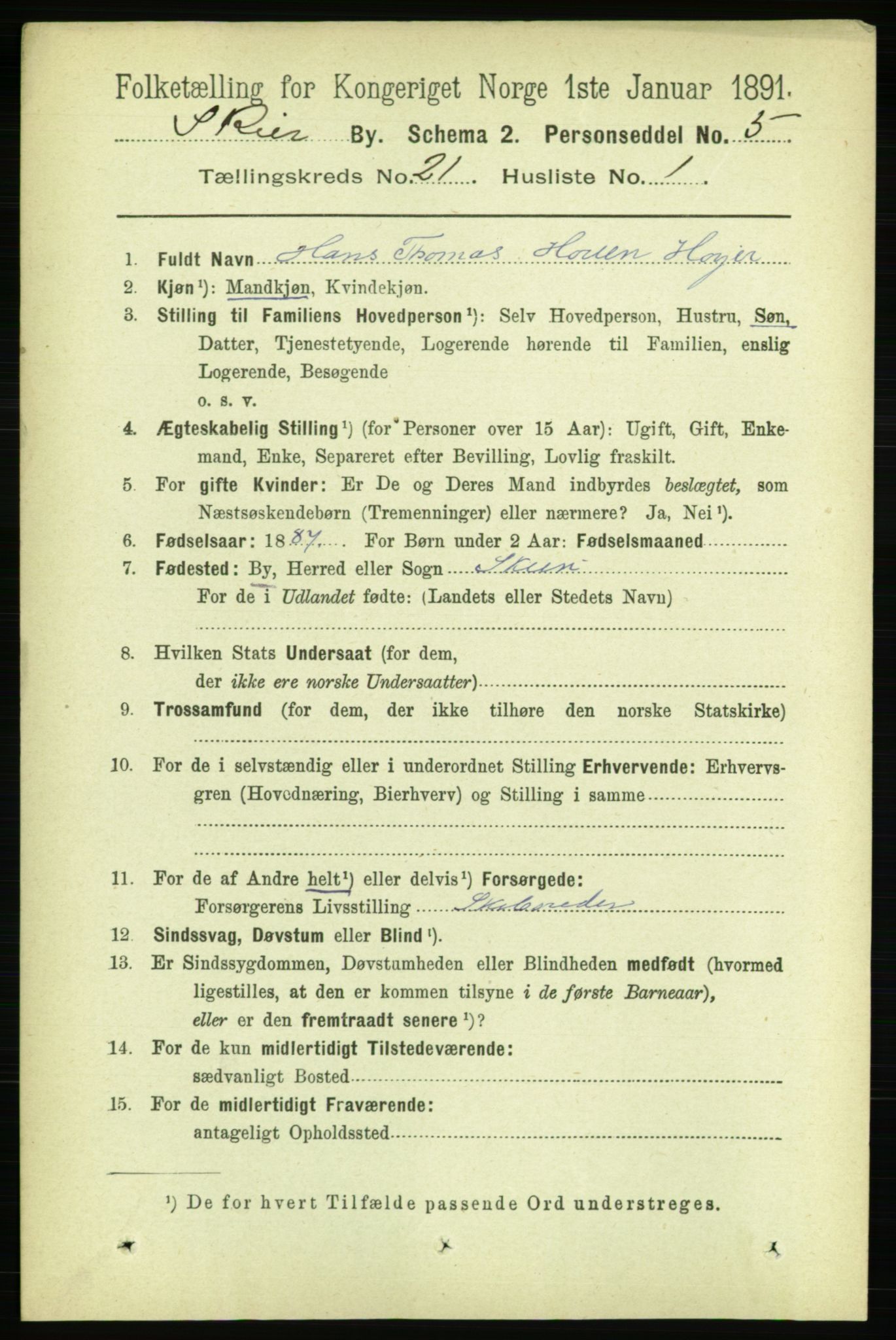 RA, 1891 census for 0806 Skien, 1891, p. 5408