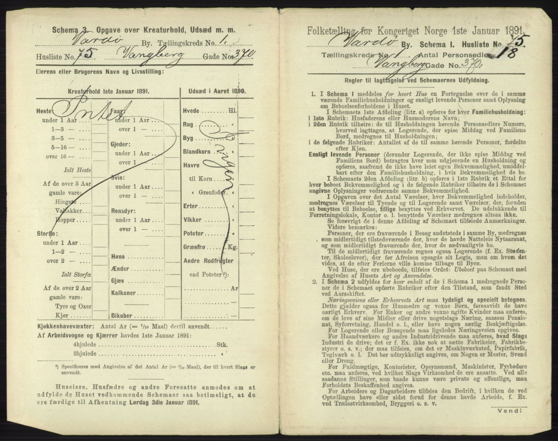 RA, 1891 census for 2002 Vardø, 1891, p. 166