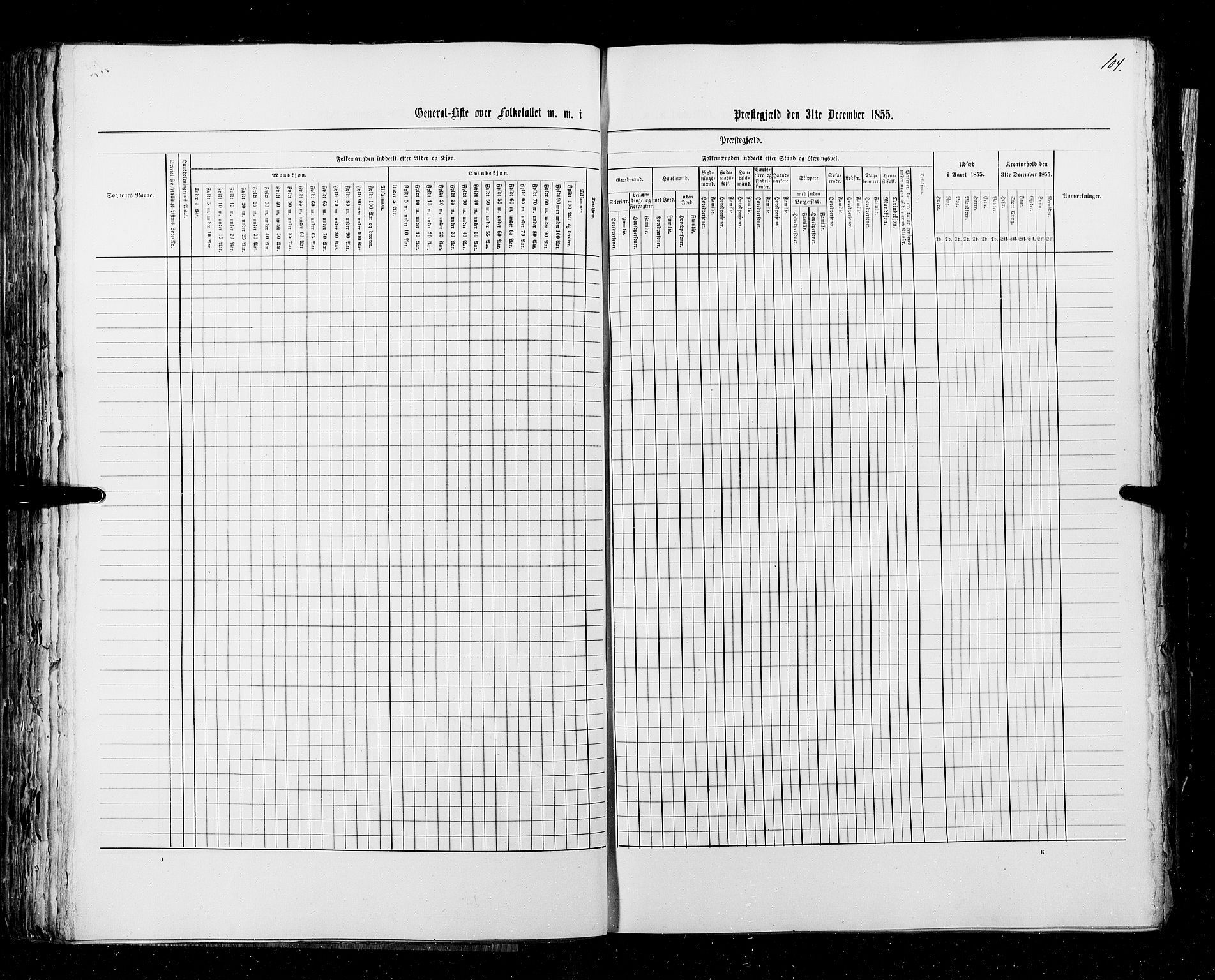 RA, Census 1855, vol. 3: Bratsberg amt, Nedenes amt og Lister og Mandal amt, 1855, p. 104