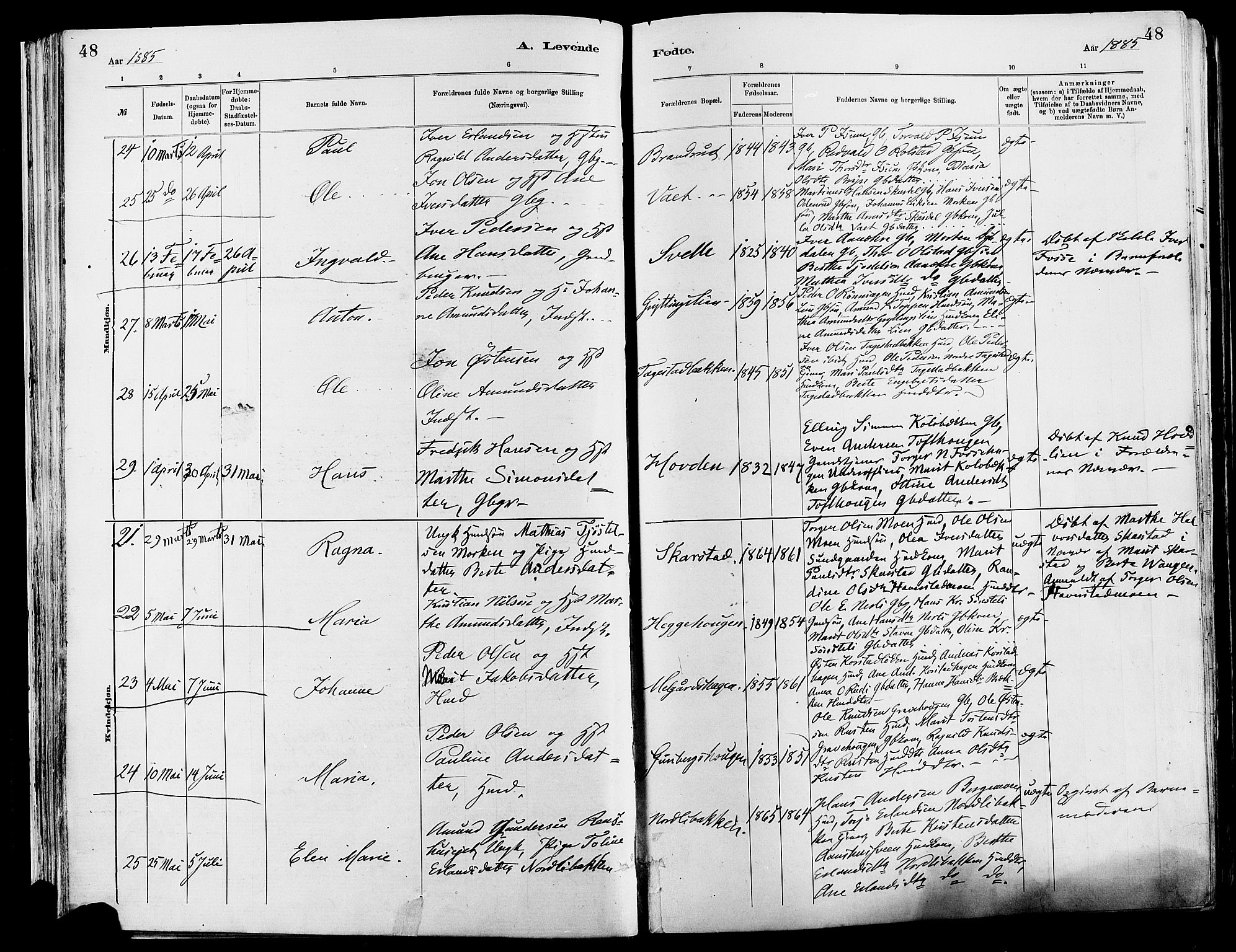 Sør-Fron prestekontor, AV/SAH-PREST-010/H/Ha/Haa/L0003: Parish register (official) no. 3, 1881-1897, p. 48