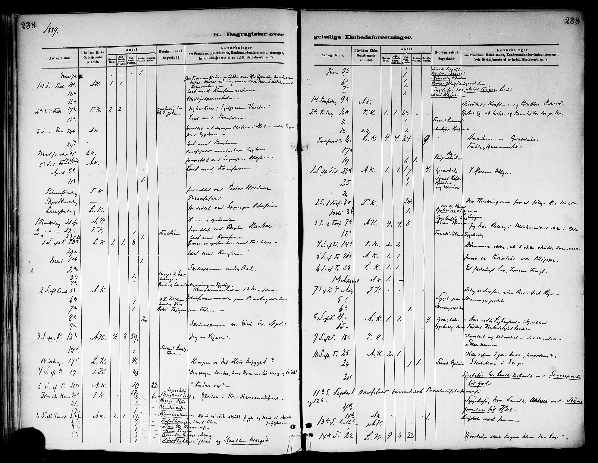 Ål kirkebøker, SAKO/A-249/F/Fa/L0008: Parish register (official) no. I 8, 1882-1896, p. 238
