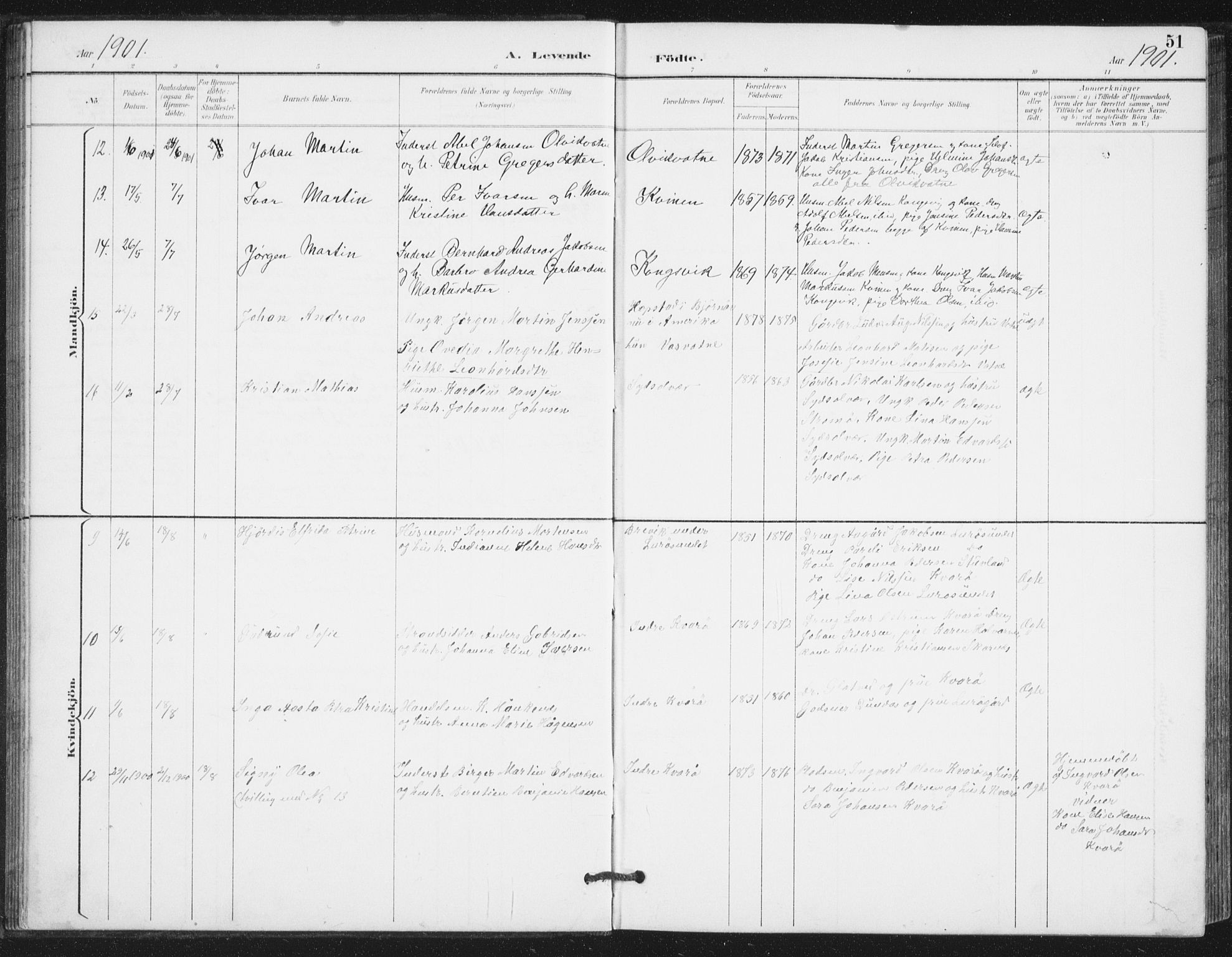 Ministerialprotokoller, klokkerbøker og fødselsregistre - Nordland, AV/SAT-A-1459/839/L0573: Parish register (copy) no. 839C03, 1892-1917, p. 51