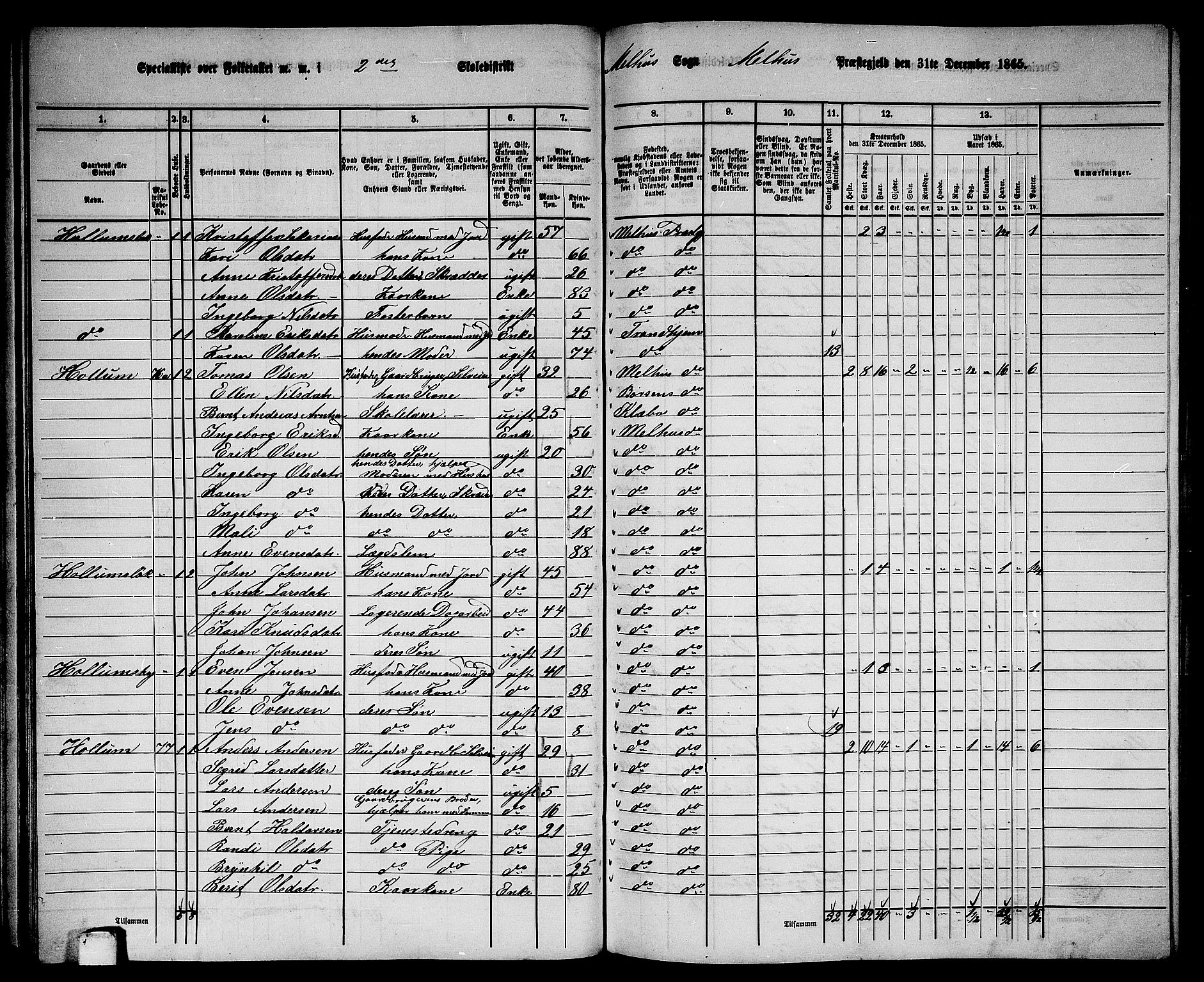 RA, 1865 census for Melhus, 1865, p. 57