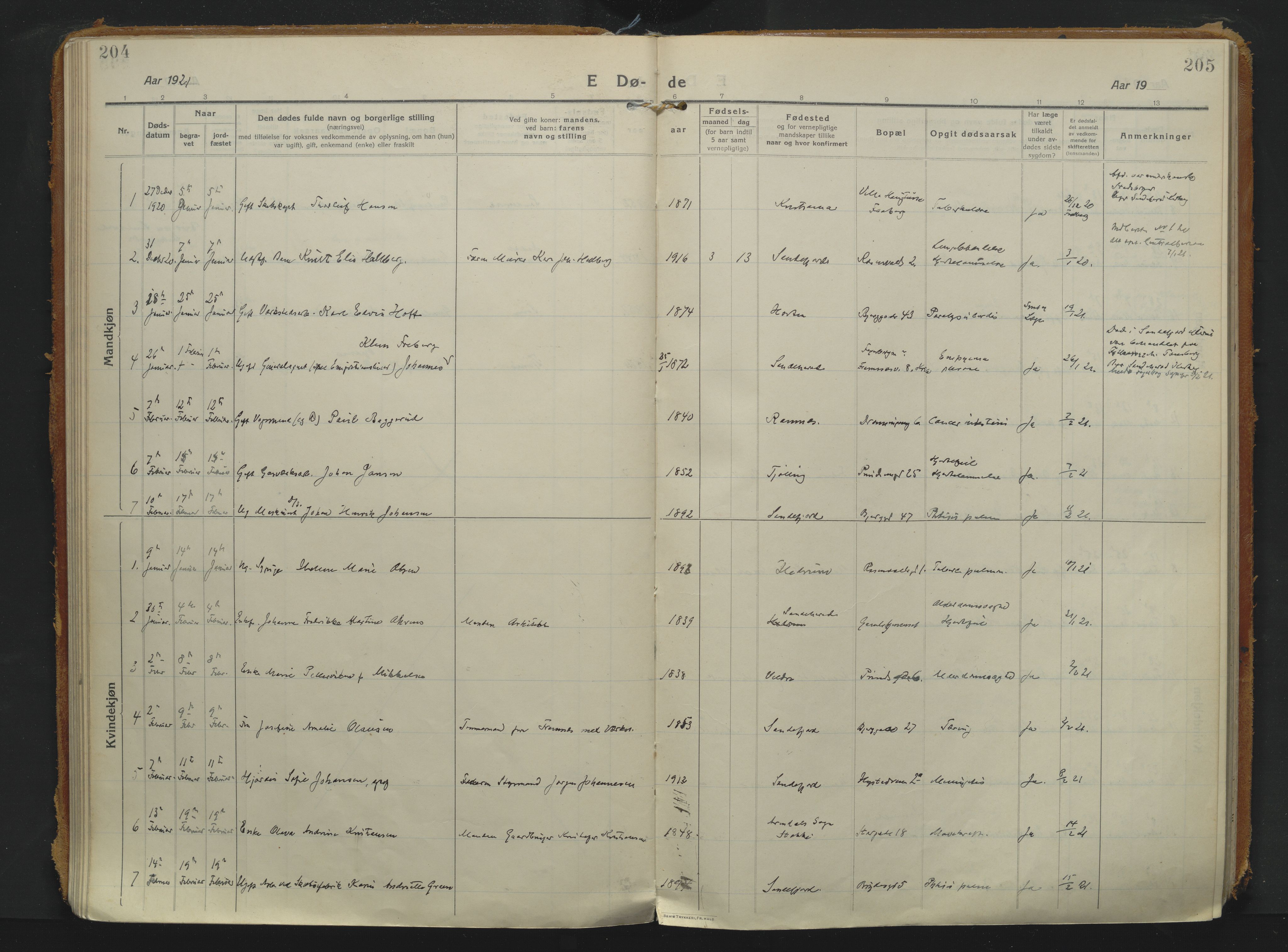 Sandefjord kirkebøker, AV/SAKO-A-315/F/Fa/L0008: Parish register (official) no. 8, 1916-1926, p. 204-205
