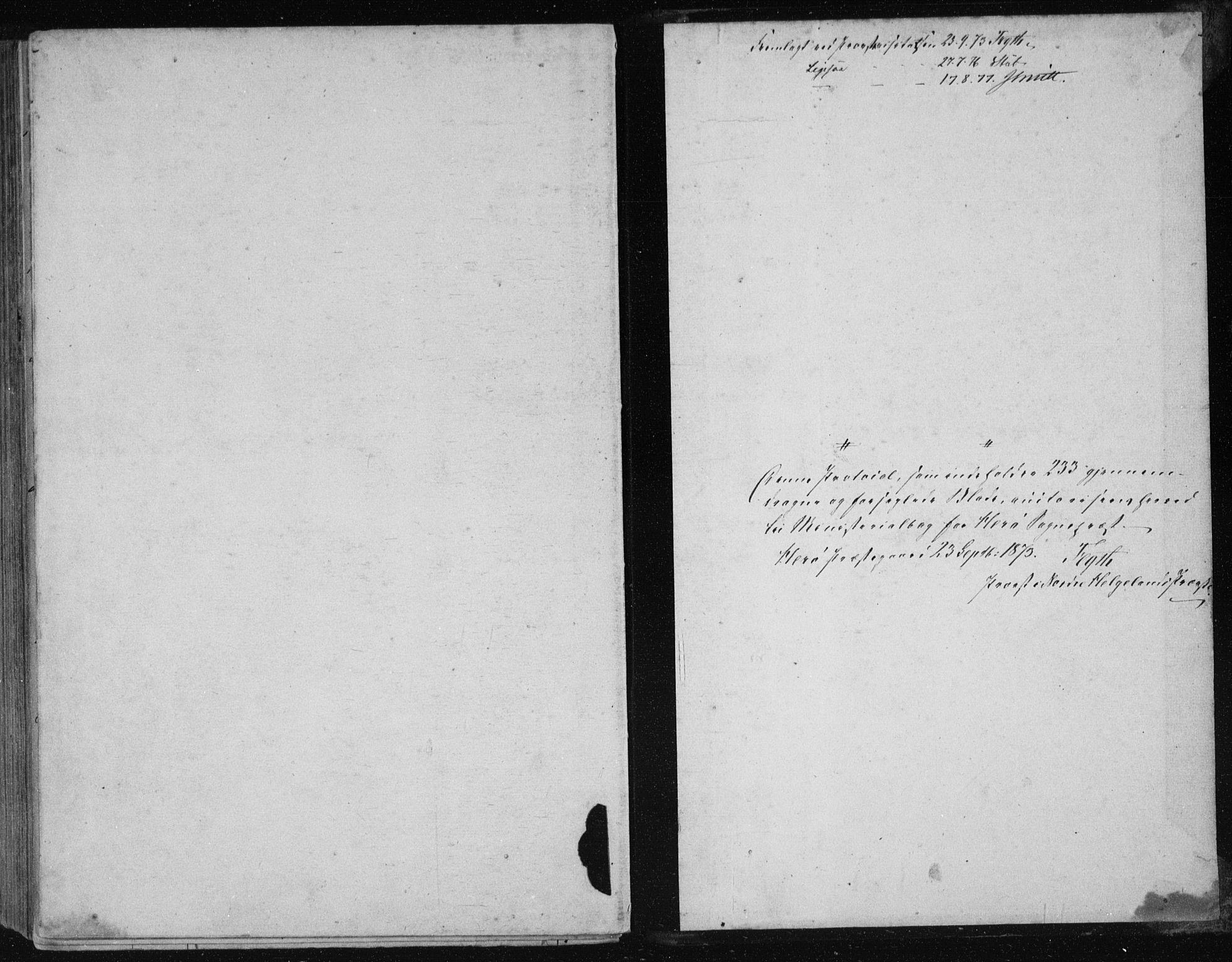 Ministerialprotokoller, klokkerbøker og fødselsregistre - Nordland, AV/SAT-A-1459/834/L0506: Parish register (official) no. 834A04, 1872-1878