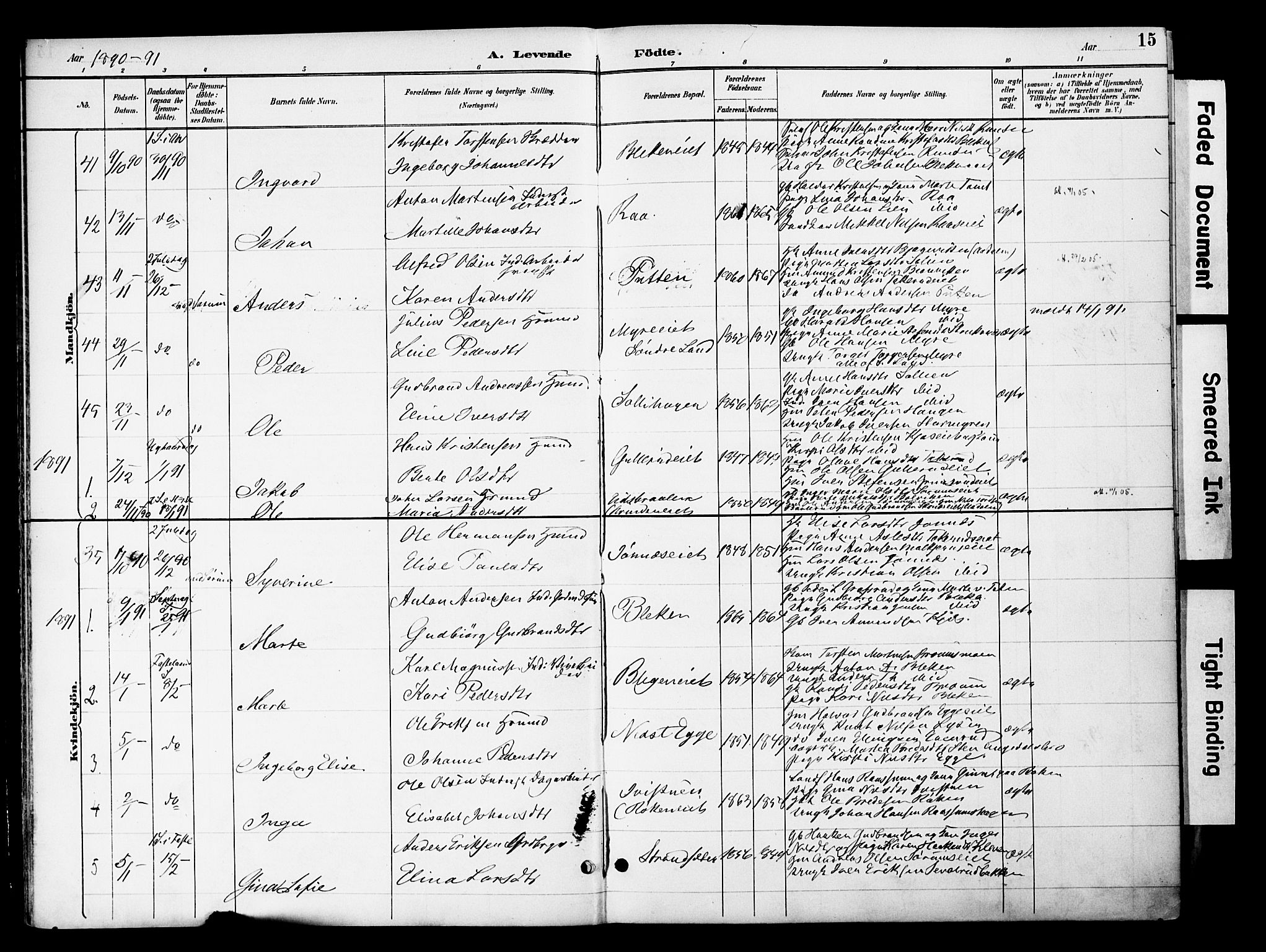 Gran prestekontor, SAH/PREST-112/H/Ha/Haa/L0020: Parish register (official) no. 20, 1889-1899, p. 15