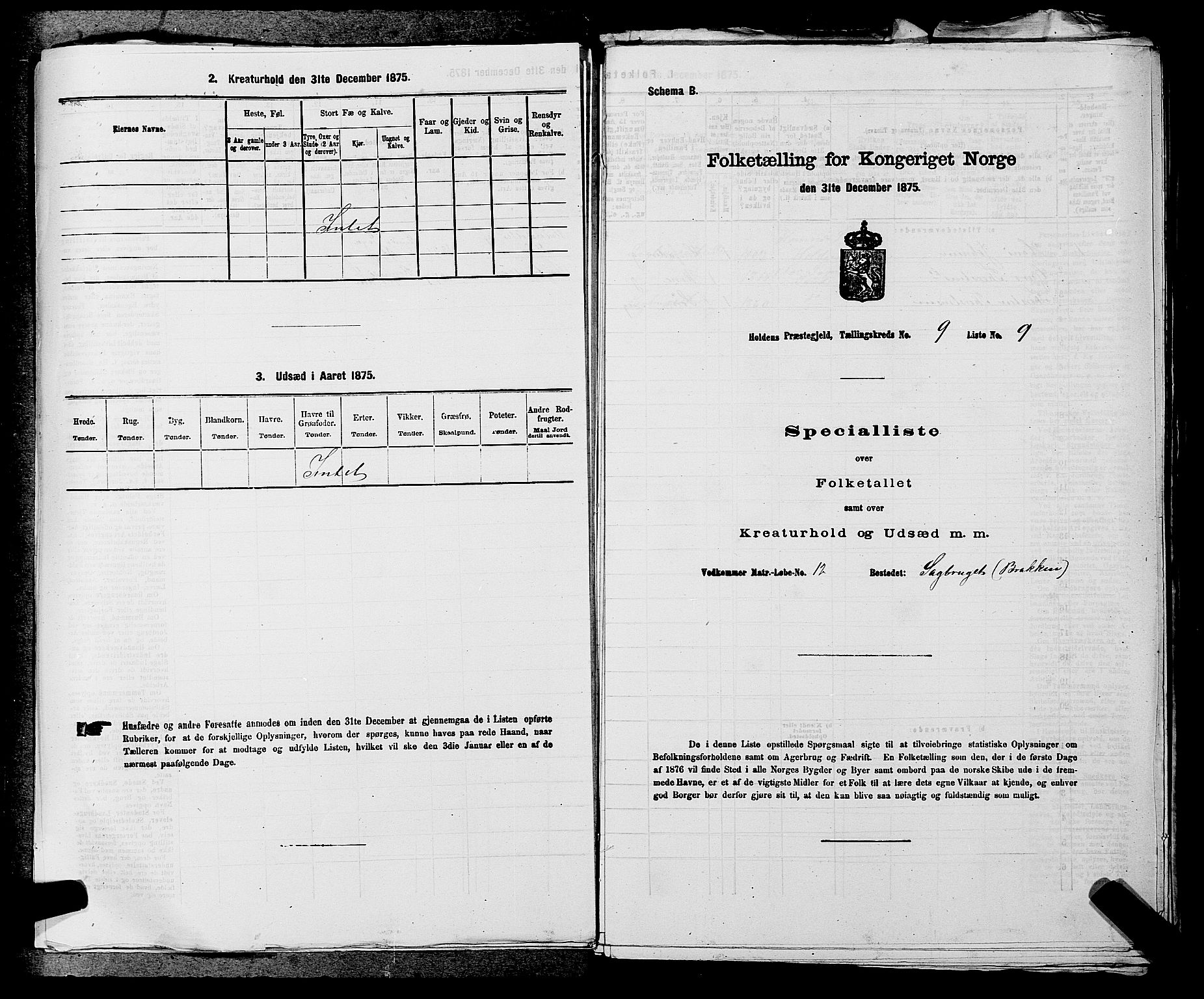 SAKO, 1875 census for 0819P Holla, 1875, p. 1094