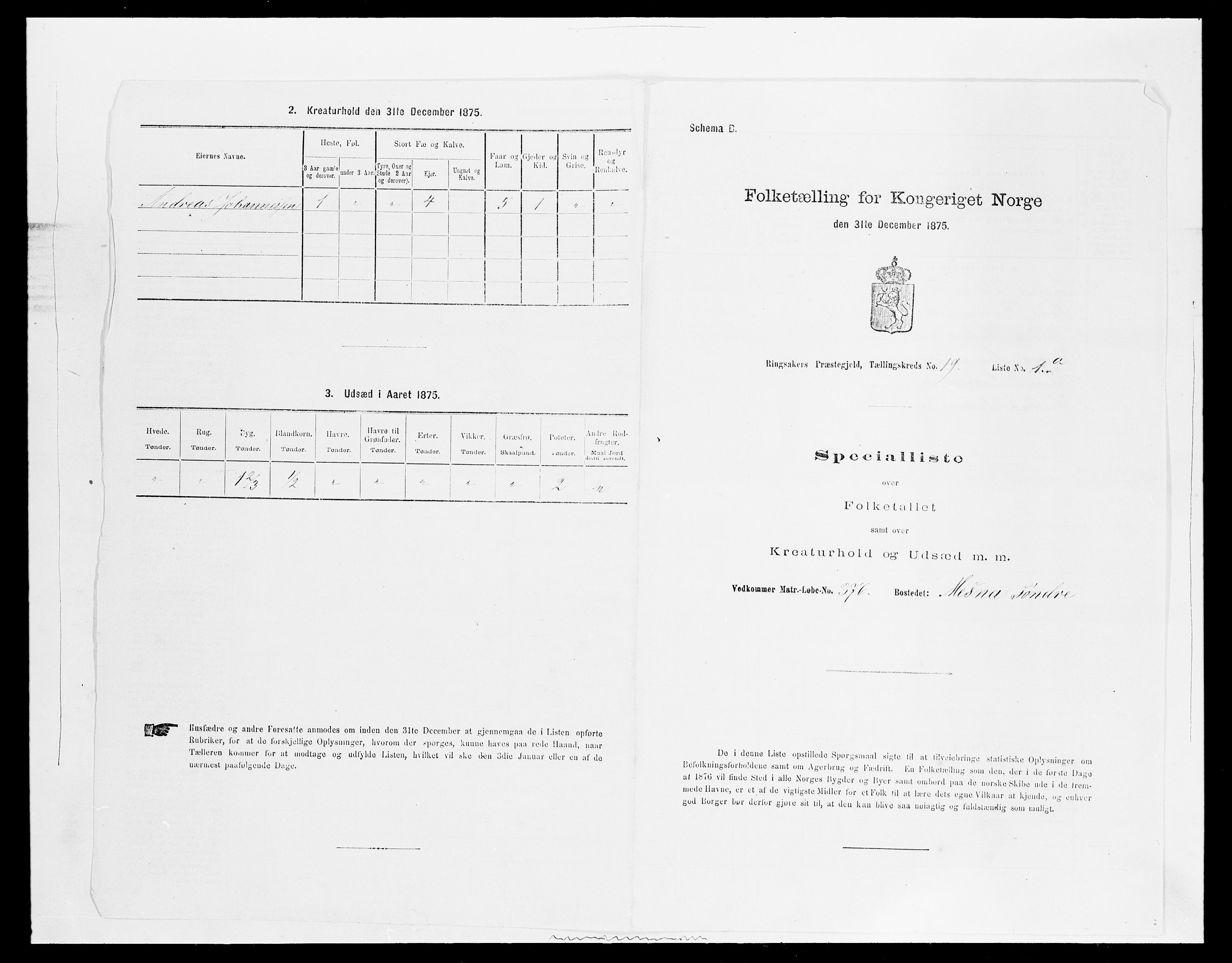 SAH, 1875 census for 0412P Ringsaker, 1875, p. 3733