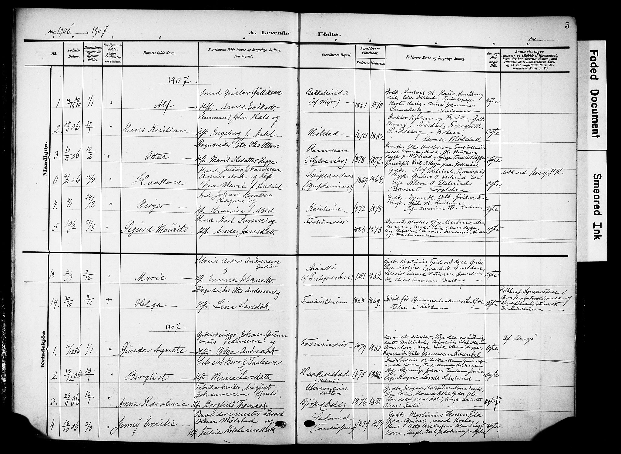 Nes prestekontor, Hedmark, SAH/PREST-020/K/Ka/L0014: Parish register (official) no. 14, 1906-1929, p. 5