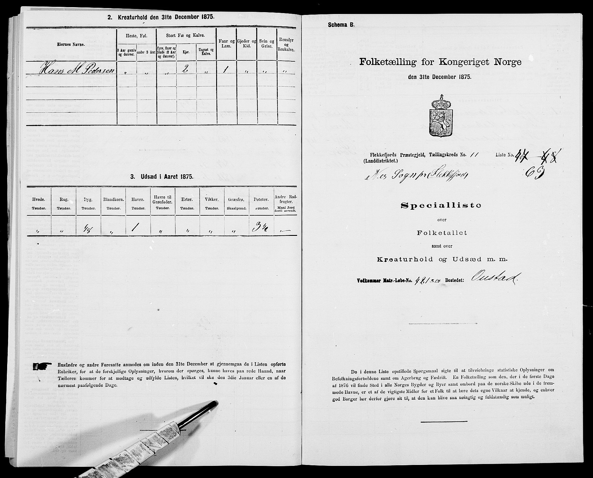 SAK, 1875 census for 1042L Flekkefjord/Nes og Hidra, 1875, p. 1436