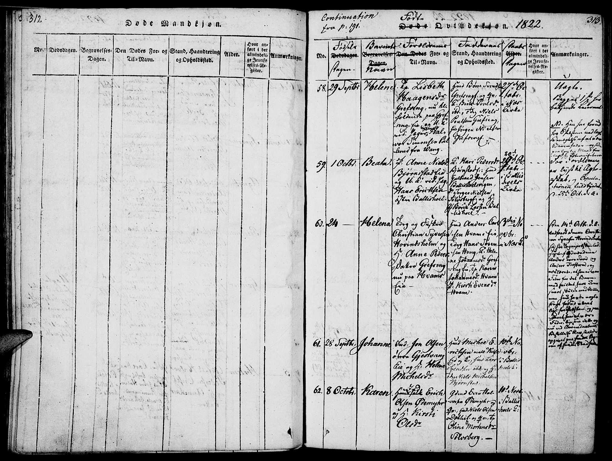 Nes prestekontor, Hedmark, AV/SAH-PREST-020/K/Ka/L0002: Parish register (official) no. 2, 1813-1827, p. 312-313