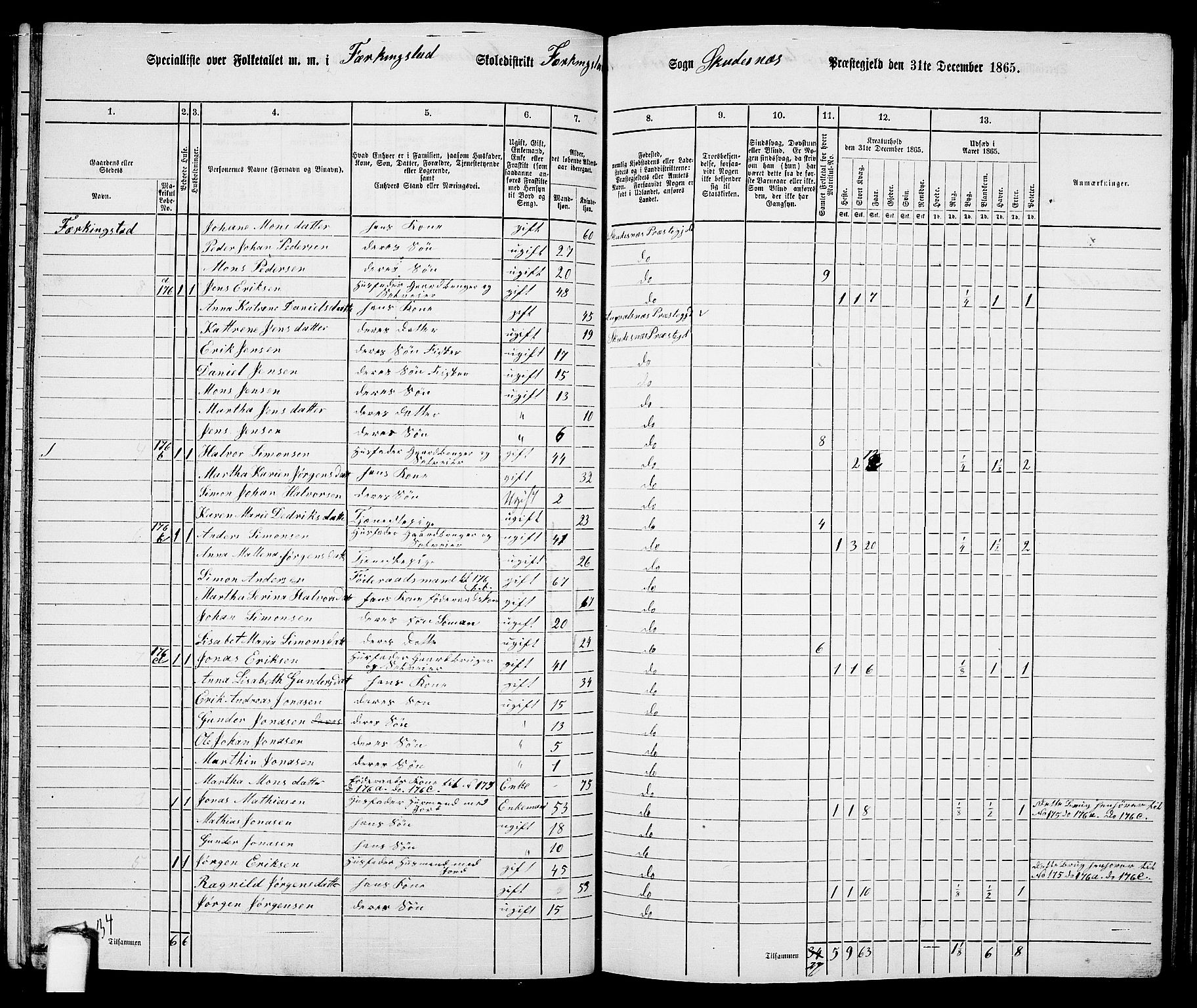 RA, 1865 census for Skudenes, 1865, p. 94