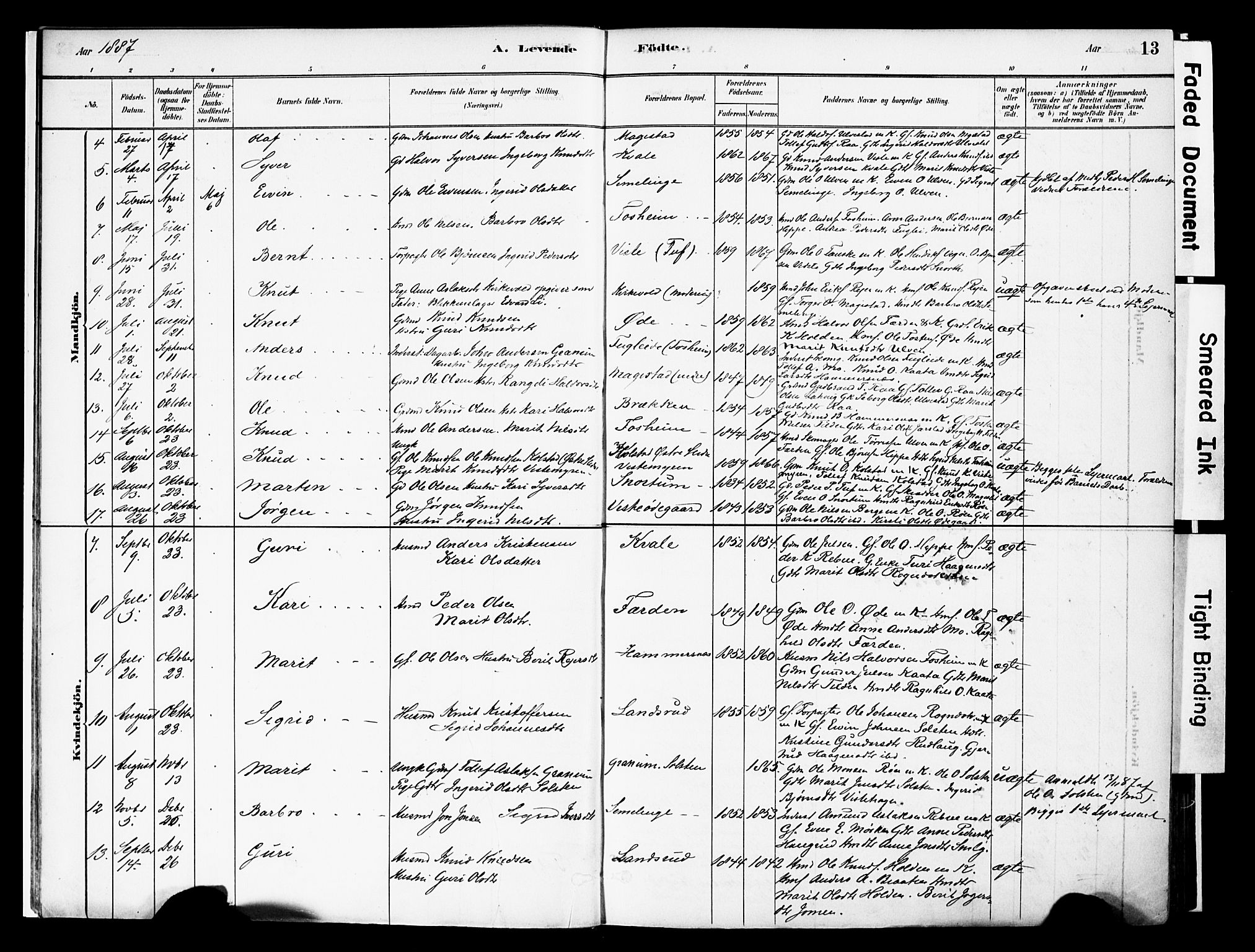 Vestre Slidre prestekontor, SAH/PREST-136/H/Ha/Haa/L0006: Parish register (official) no. 6, 1881-1912, p. 13