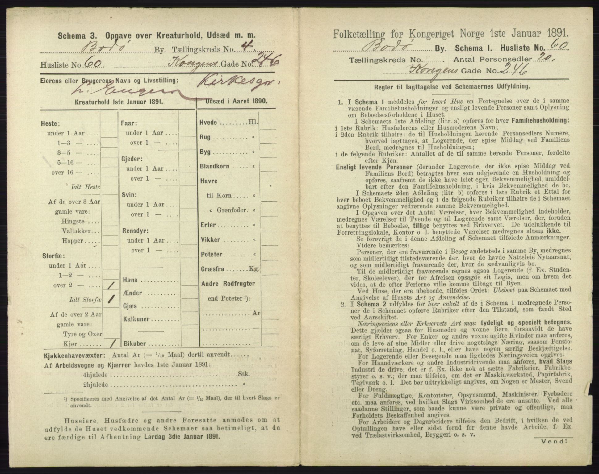 RA, 1891 census for 1804 Bodø, 1891, p. 3007