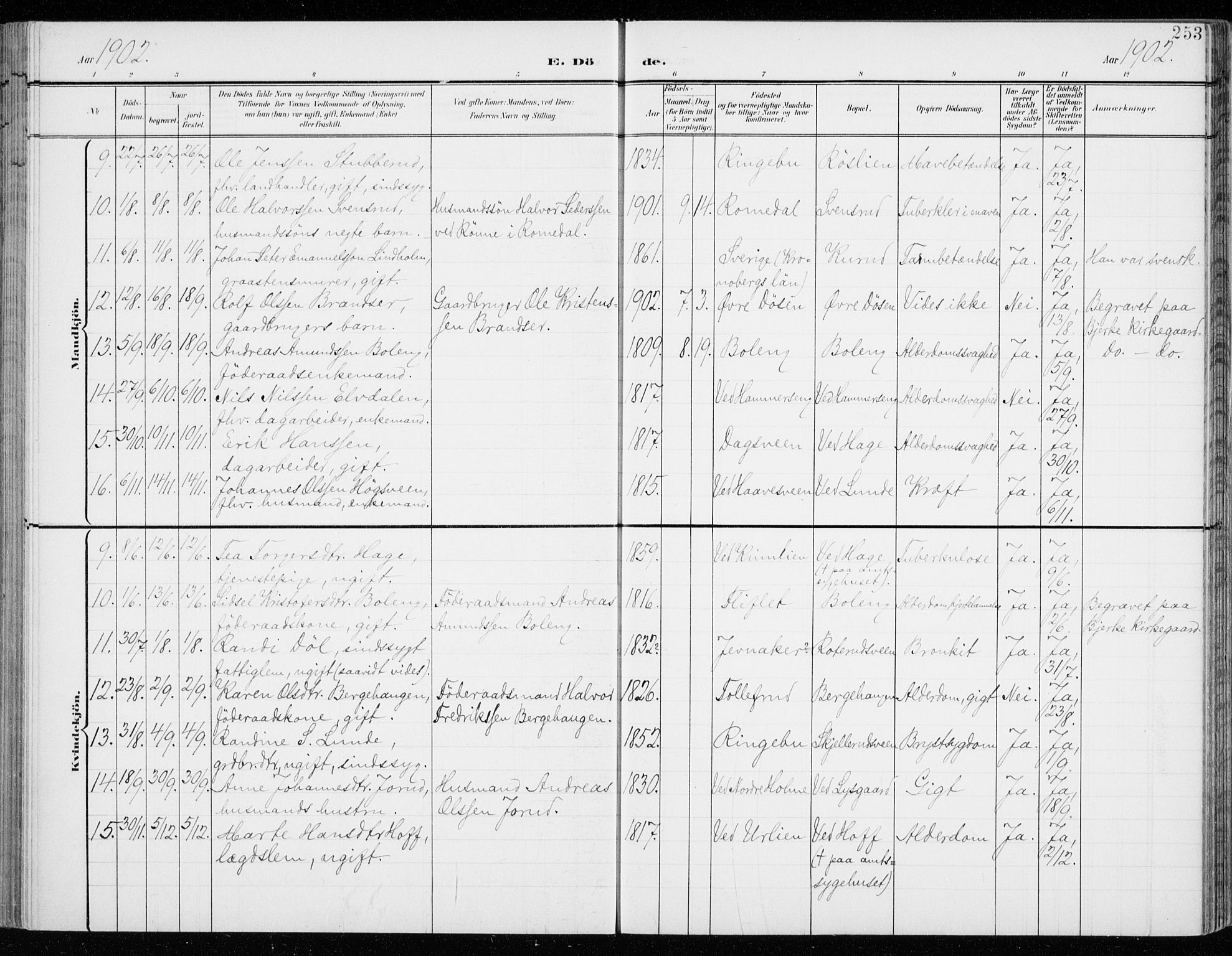 Fåberg prestekontor, SAH/PREST-086/H/Ha/Haa/L0011: Parish register (official) no. 11, 1899-1913, p. 253