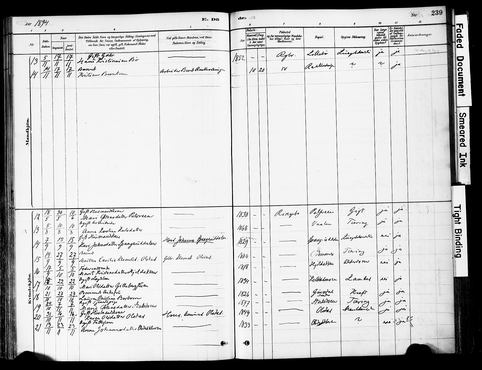 Ringebu prestekontor, AV/SAH-PREST-082/H/Ha/Haa/L0008: Parish register (official) no. 8, 1878-1898, p. 239