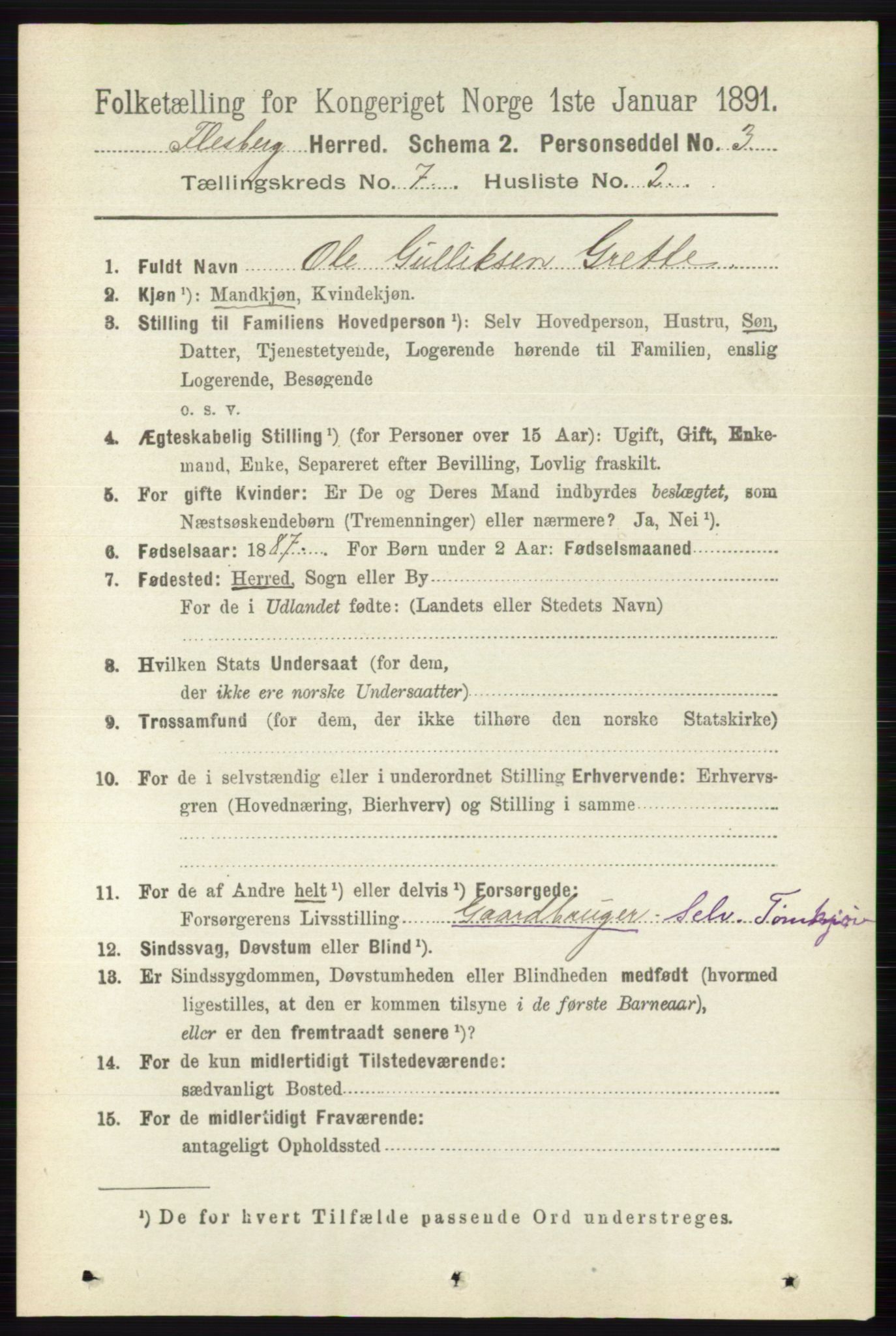 RA, 1891 census for 0631 Flesberg, 1891, p. 1175