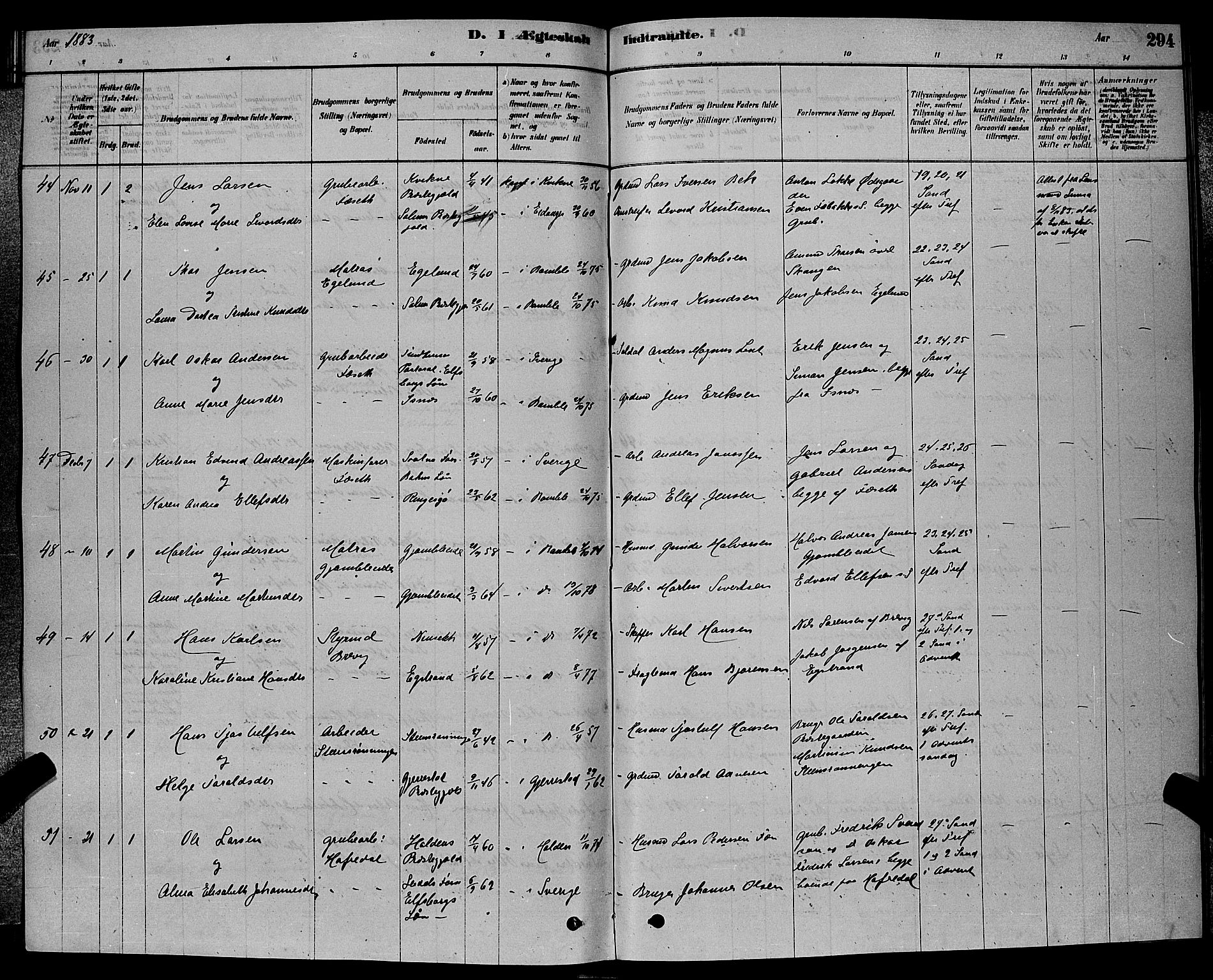 Bamble kirkebøker, SAKO/A-253/G/Ga/L0008: Parish register (copy) no. I 8, 1878-1888, p. 294