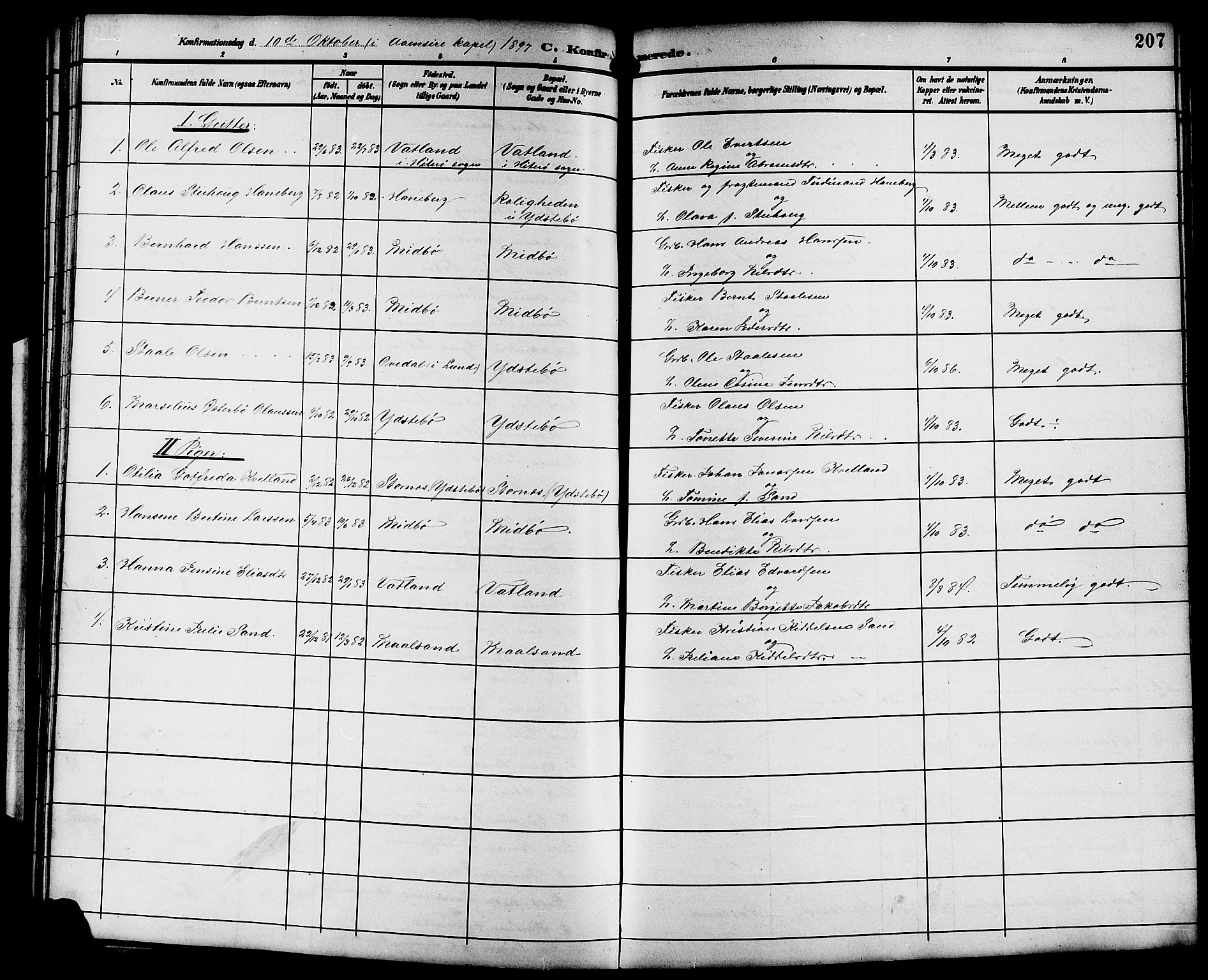 Sokndal sokneprestkontor, AV/SAST-A-101808: Parish register (copy) no. B 6, 1892-1907, p. 207