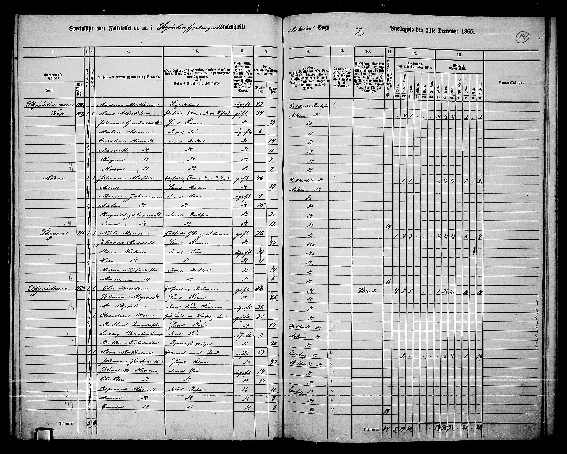 RA, 1865 census for Askim, 1865, p. 51