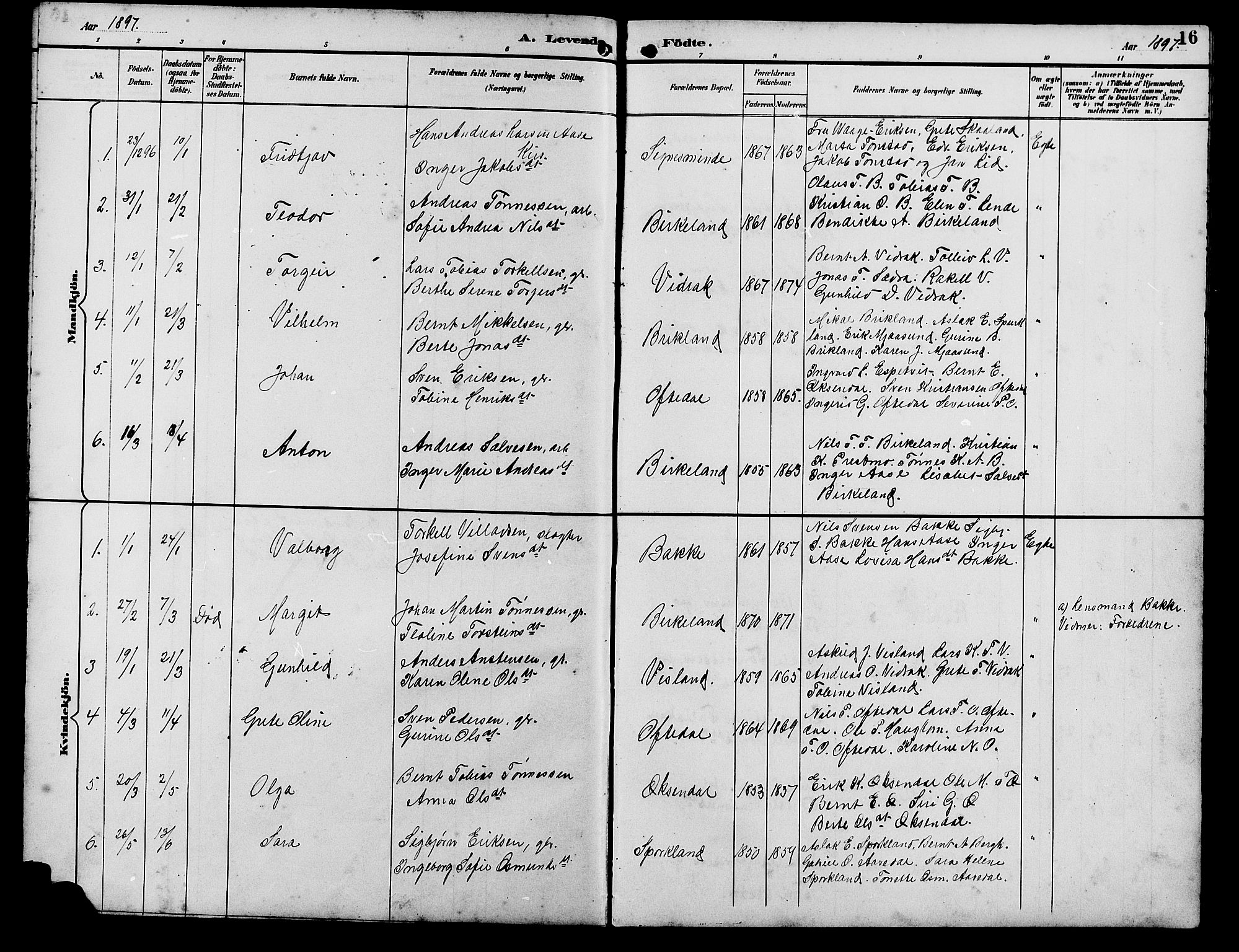 Bakke sokneprestkontor, SAK/1111-0002/F/Fb/Fba/L0003: Parish register (copy) no. B 3, 1894-1910, p. 16