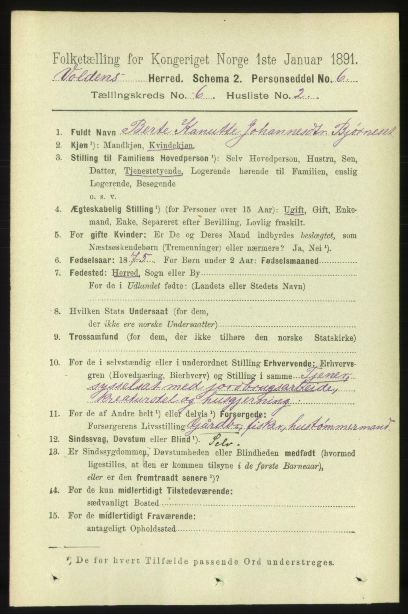 RA, 1891 census for 1519 Volda, 1891, p. 2876