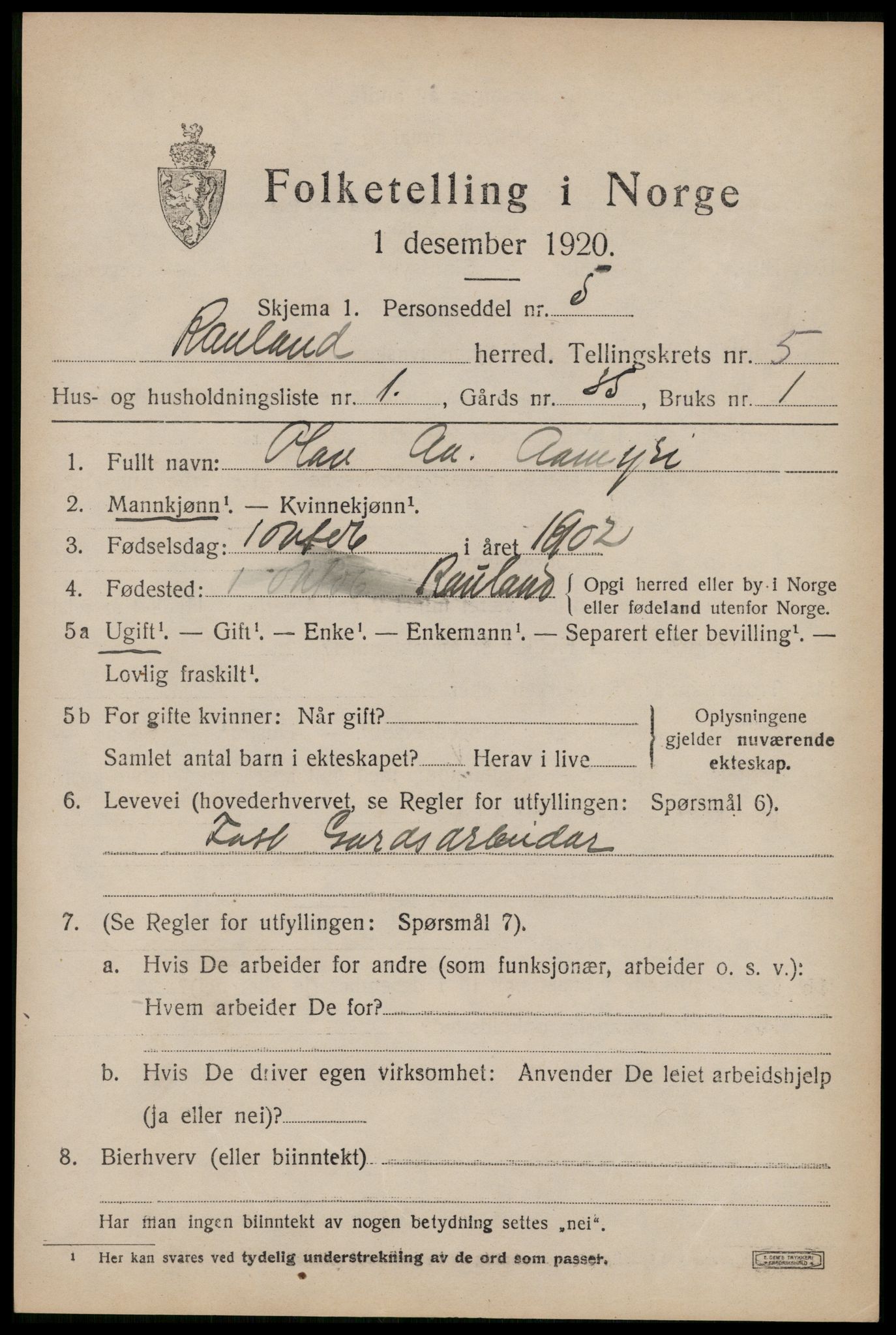 SAKO, 1920 census for Rauland, 1920, p. 1018