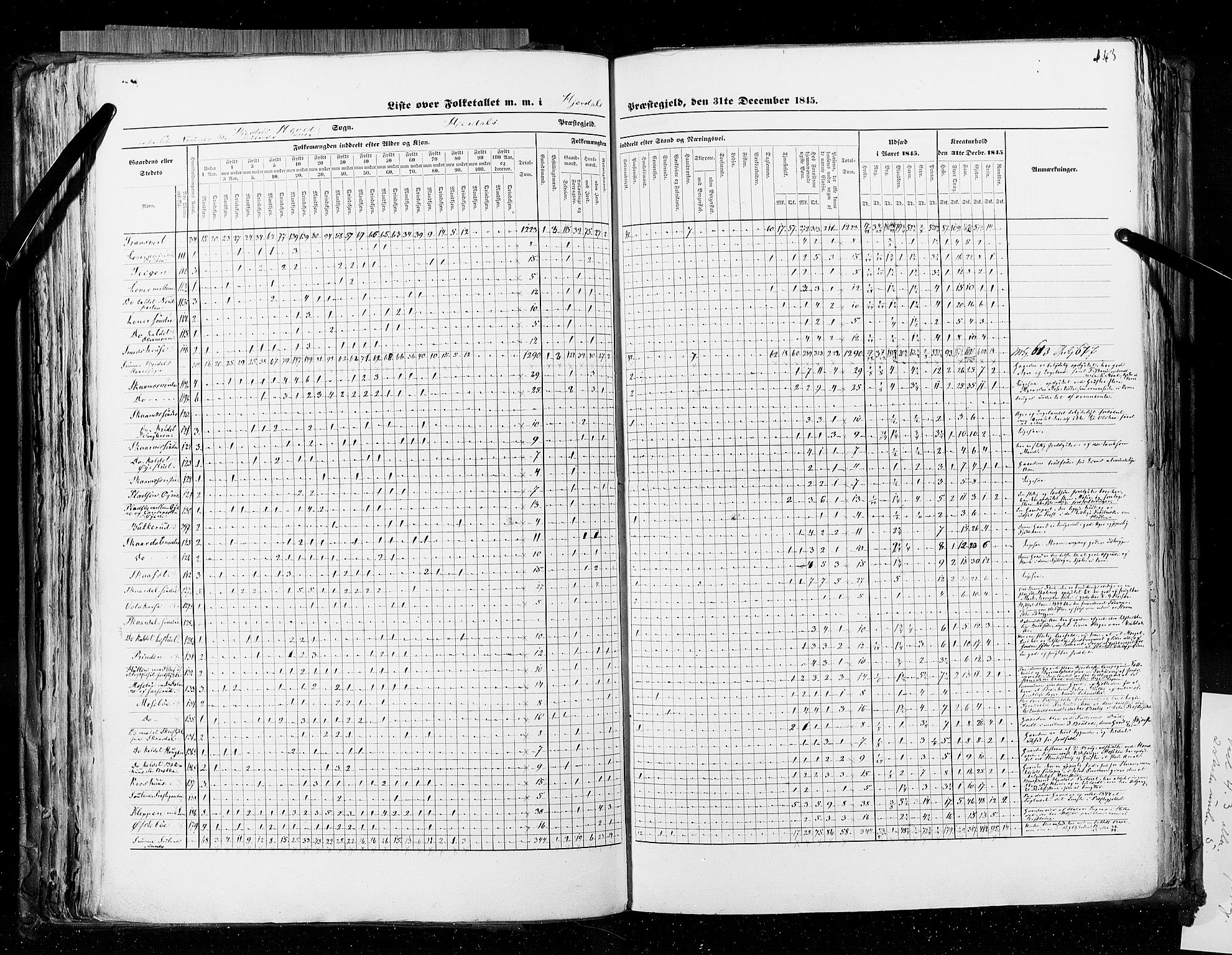 RA, Census 1845, vol. 5: Bratsberg amt og Nedenes og Råbyggelaget amt, 1845, p. 143