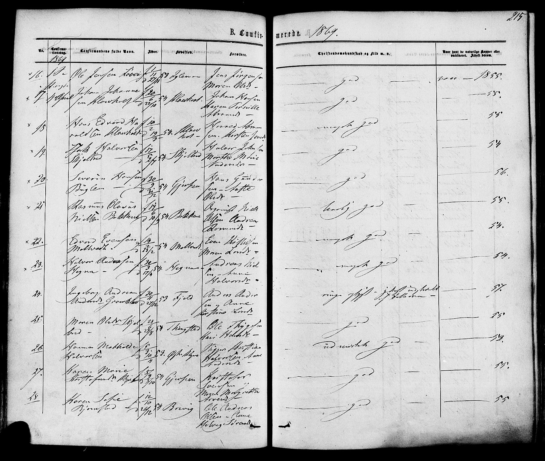 Solum kirkebøker, SAKO/A-306/F/Fa/L0008: Parish register (official) no. I 8, 1865-1876, p. 215