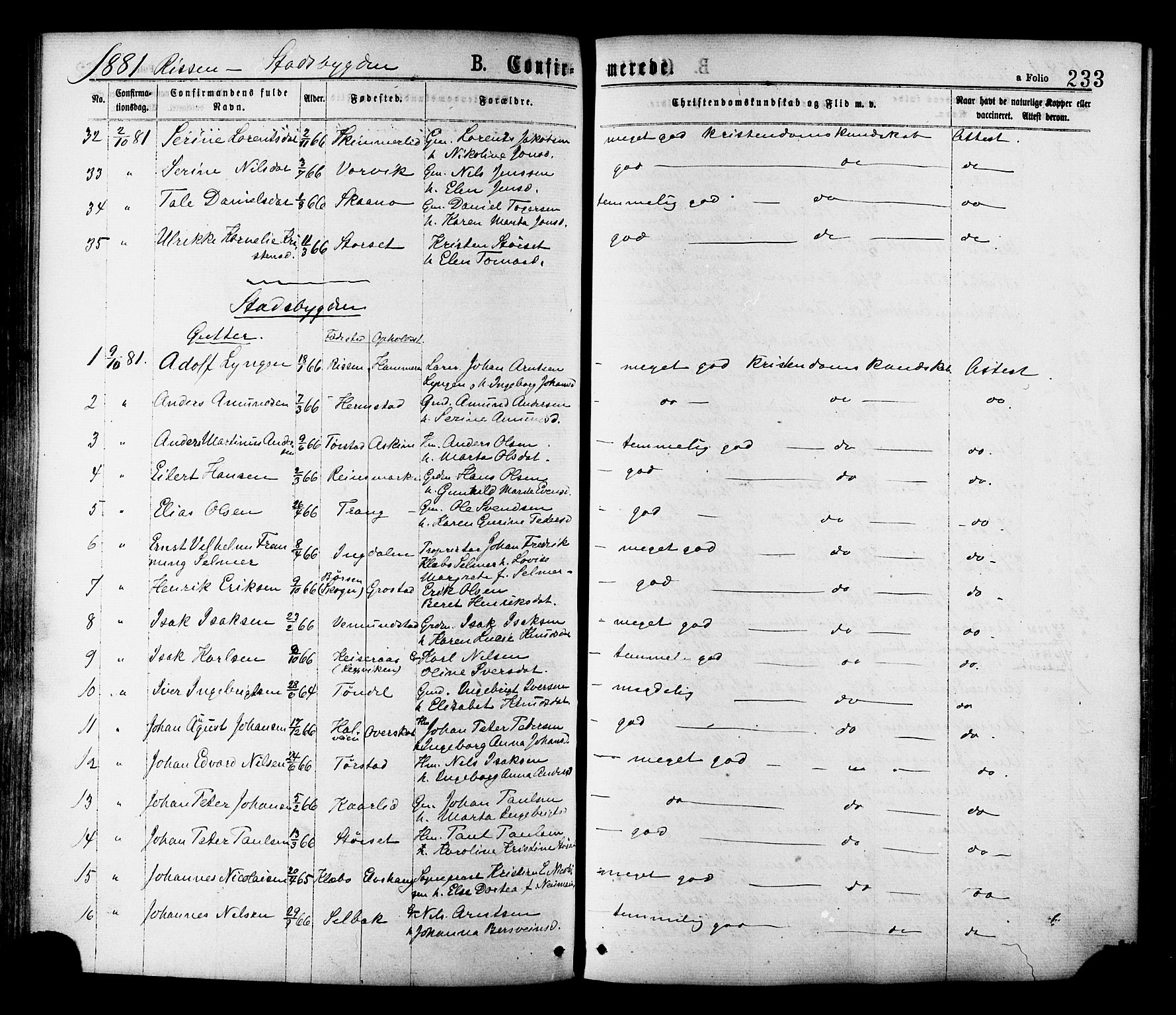 Ministerialprotokoller, klokkerbøker og fødselsregistre - Sør-Trøndelag, SAT/A-1456/646/L0613: Parish register (official) no. 646A11, 1870-1884, p. 233