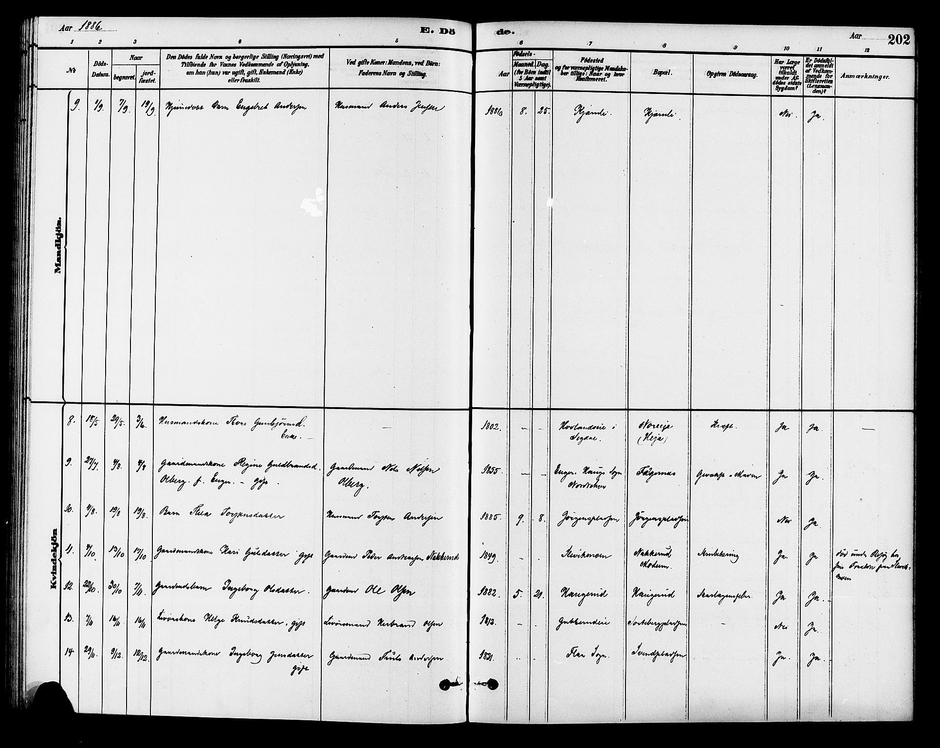 Krødsherad kirkebøker, AV/SAKO-A-19/G/Ga/L0001: Parish register (copy) no. 1, 1879-1893, p. 202