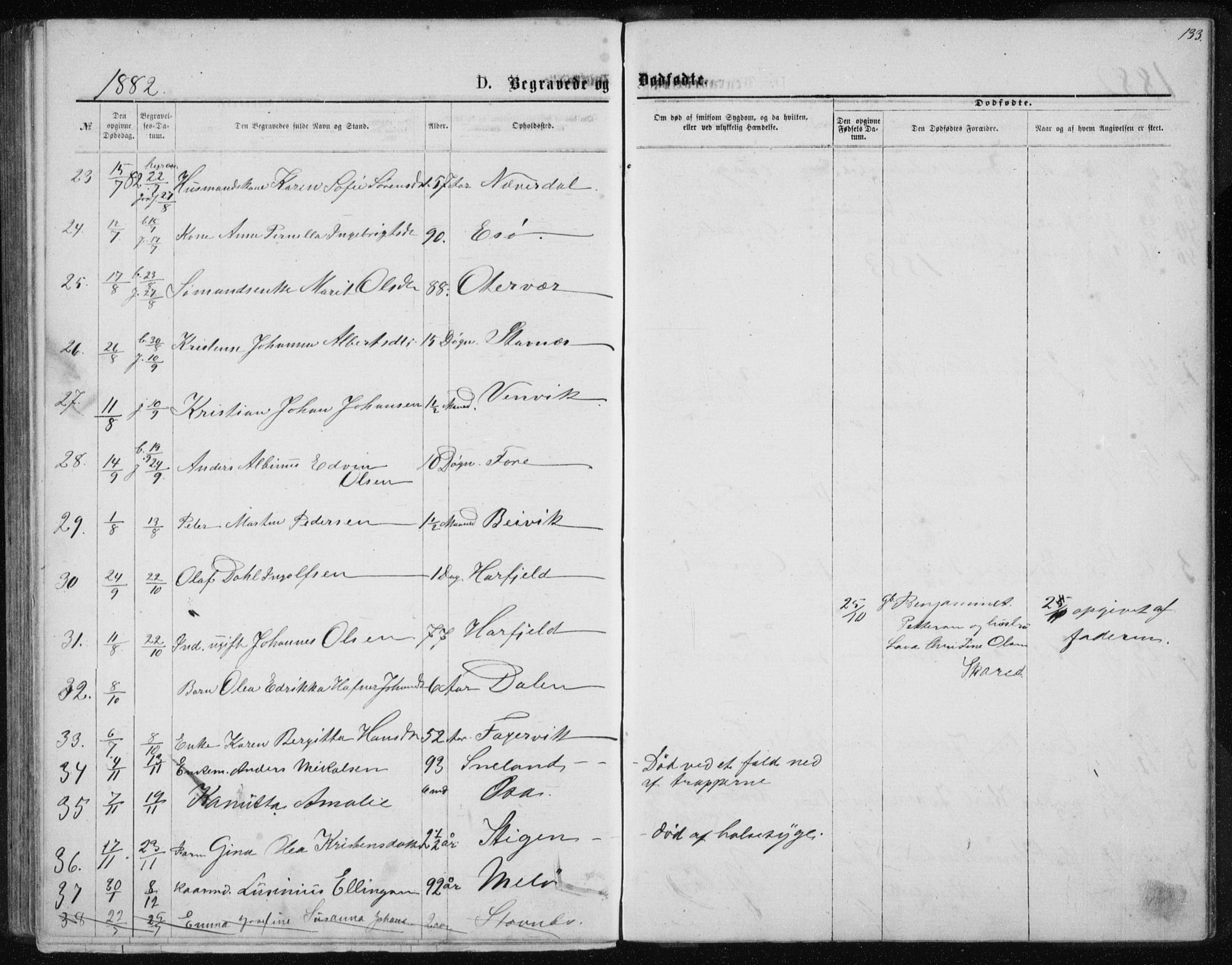 Ministerialprotokoller, klokkerbøker og fødselsregistre - Nordland, SAT/A-1459/843/L0635: Parish register (copy) no. 843C04, 1872-1887, p. 133