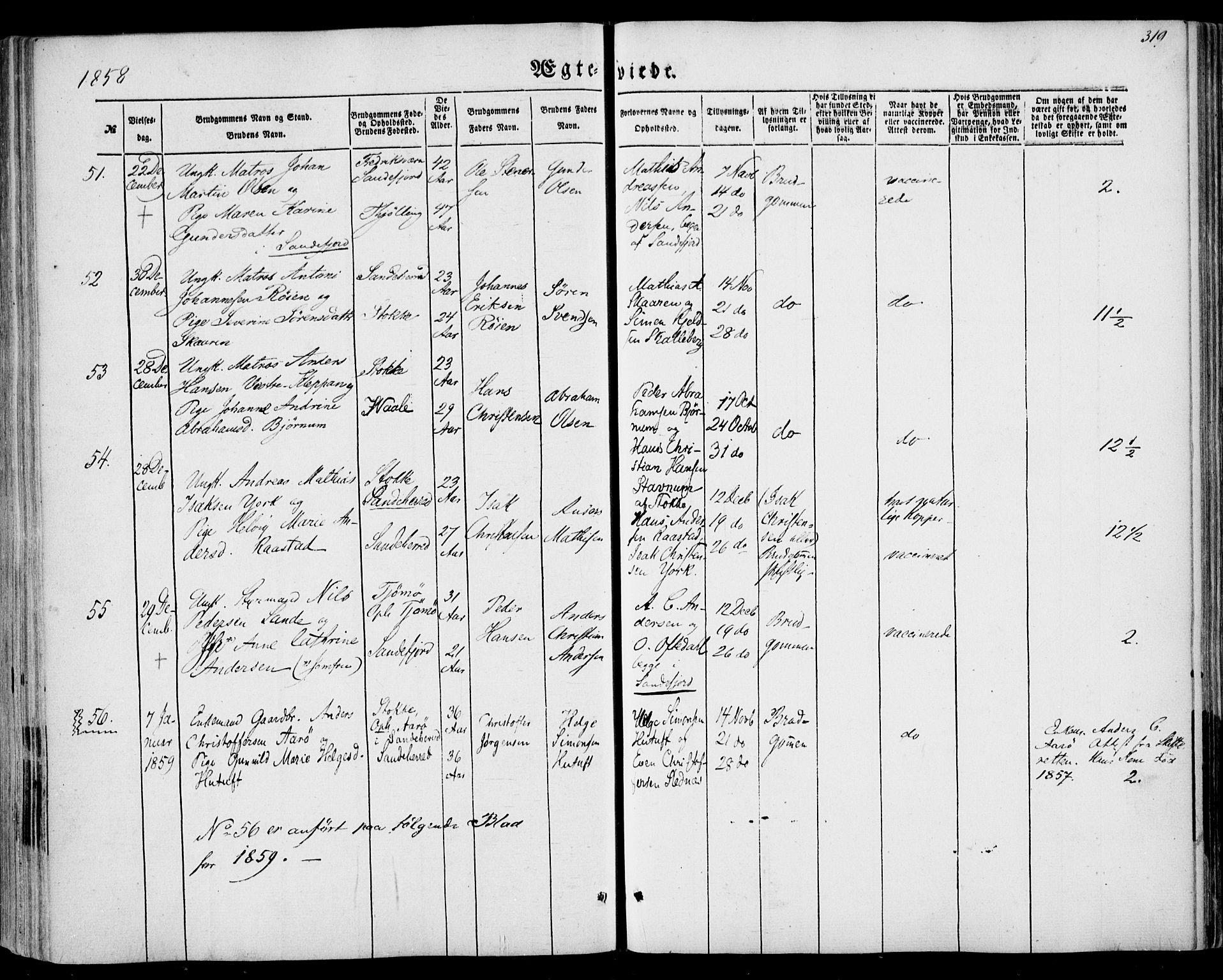 Sandar kirkebøker, SAKO/A-243/F/Fa/L0007: Parish register (official) no. 7, 1855-1861, p. 319