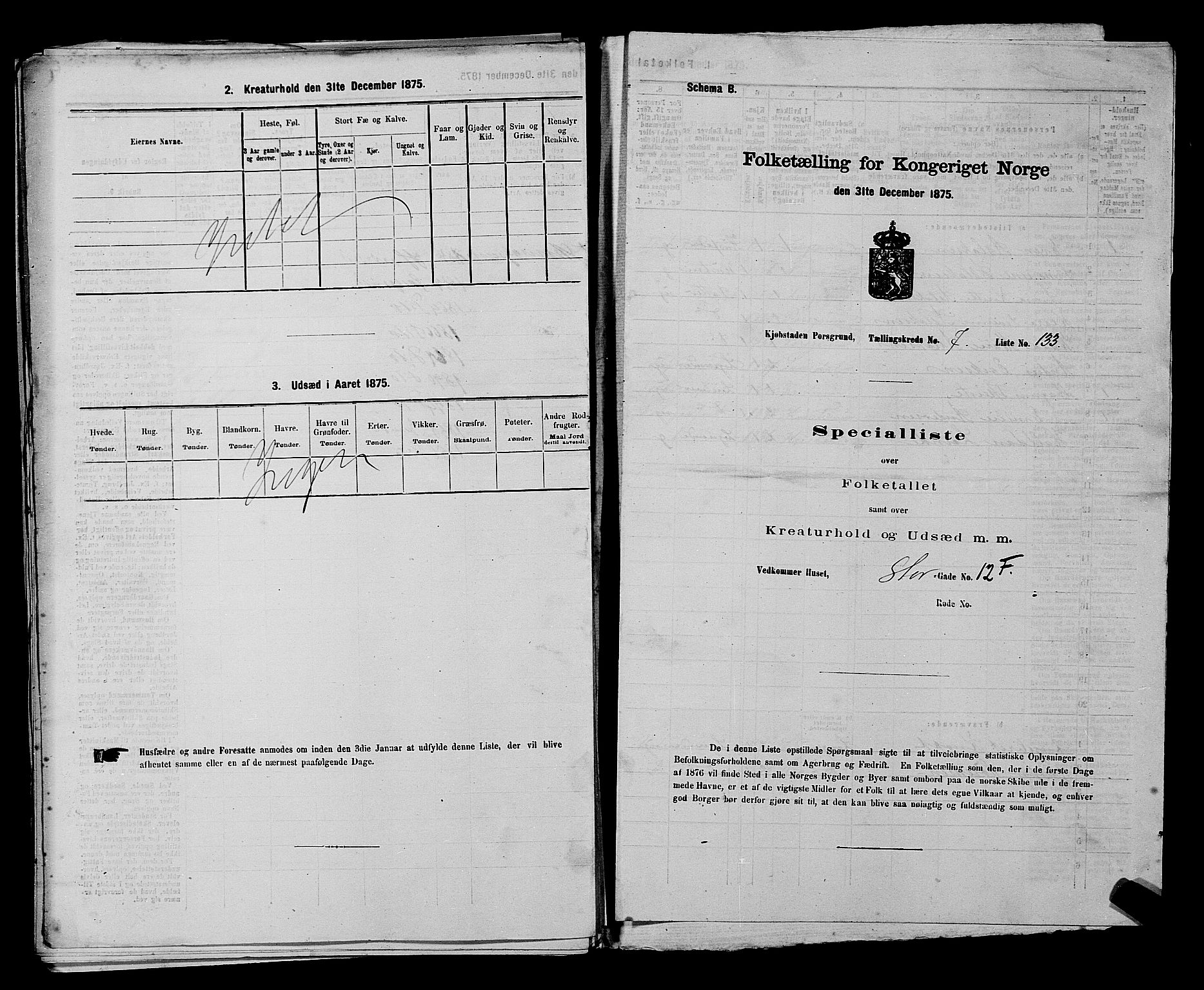 SAKO, 1875 census for 0805P Porsgrunn, 1875, p. 318