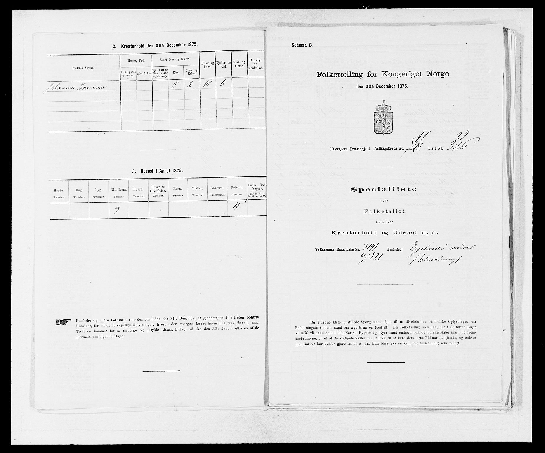 SAB, 1875 census for 1253P Hosanger, 1875, p. 849