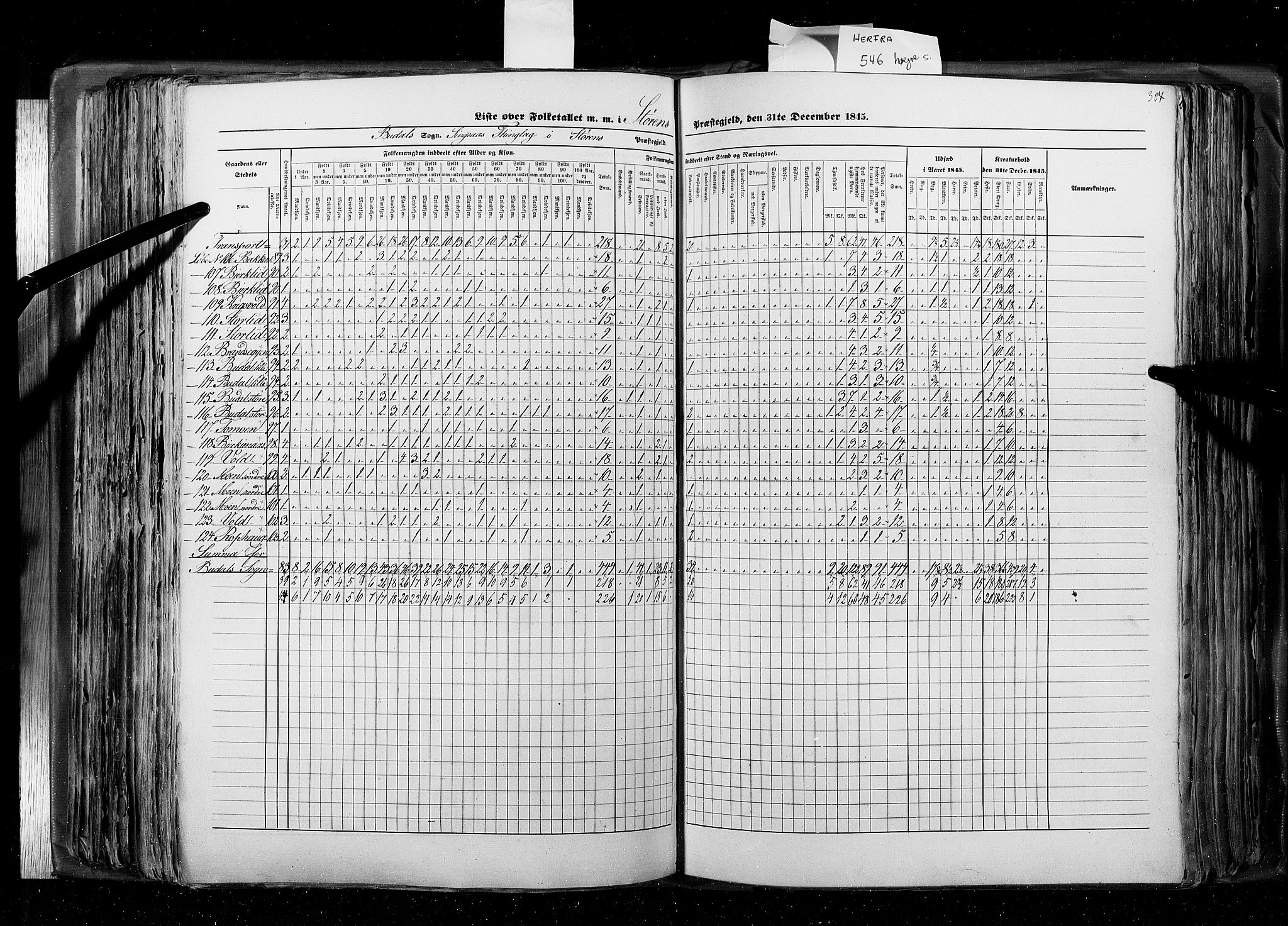 RA, Census 1845, vol. 8: Romsdal amt og Søndre Trondhjems amt, 1845, p. 304