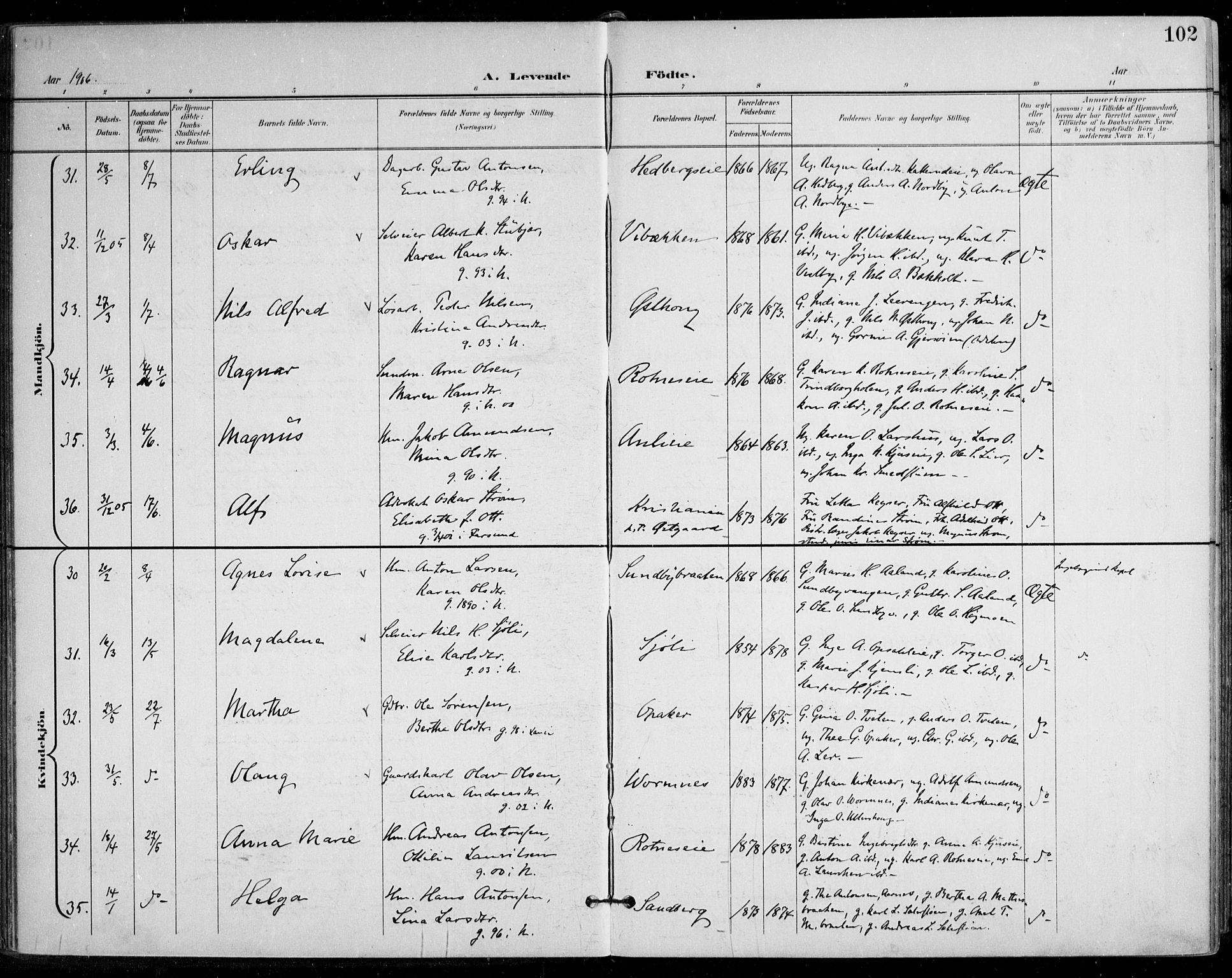 Nes prestekontor Kirkebøker, AV/SAO-A-10410/F/Fa/L0011: Parish register (official) no. I 11, 1899-1918, p. 102