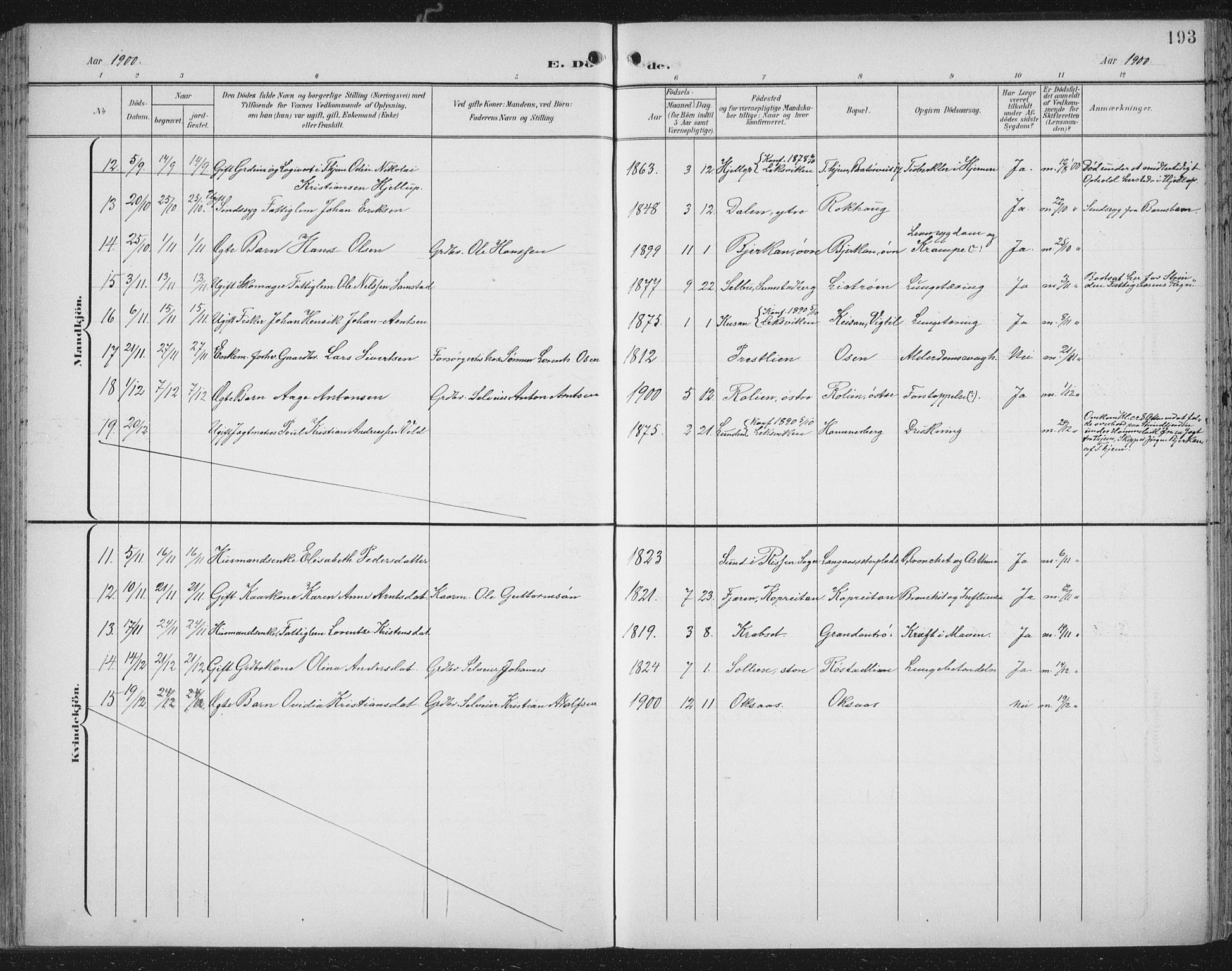Ministerialprotokoller, klokkerbøker og fødselsregistre - Nord-Trøndelag, SAT/A-1458/701/L0011: Parish register (official) no. 701A11, 1899-1915, p. 193