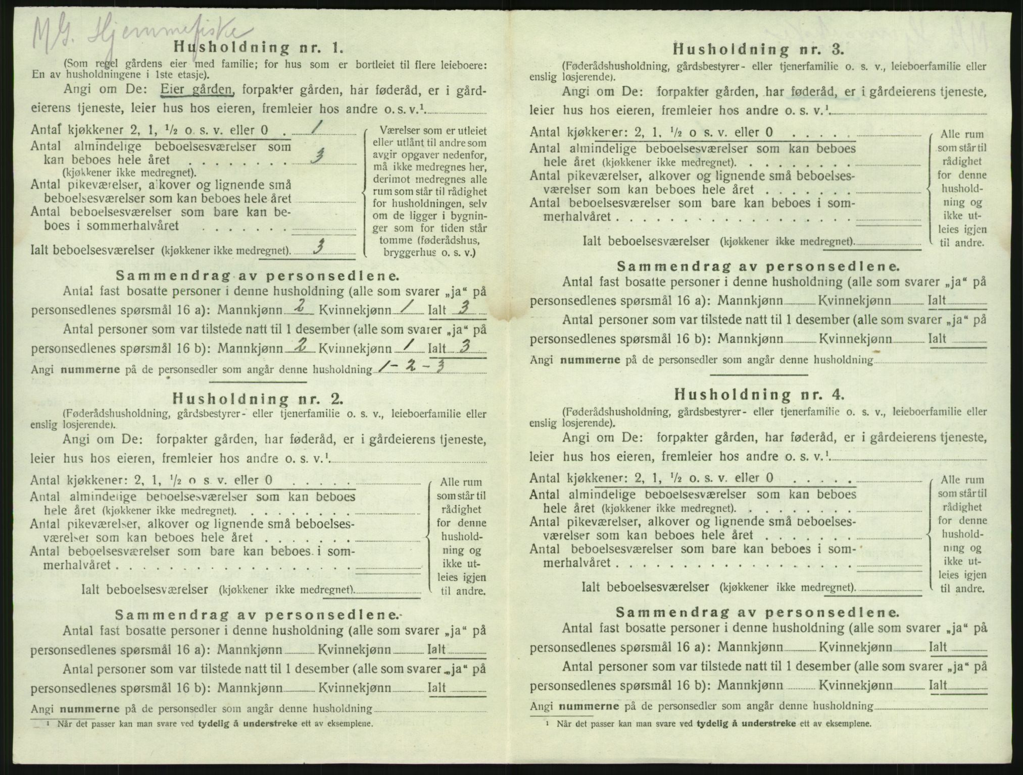 SAKO, 1920 census for Brunlanes, 1920, p. 1272