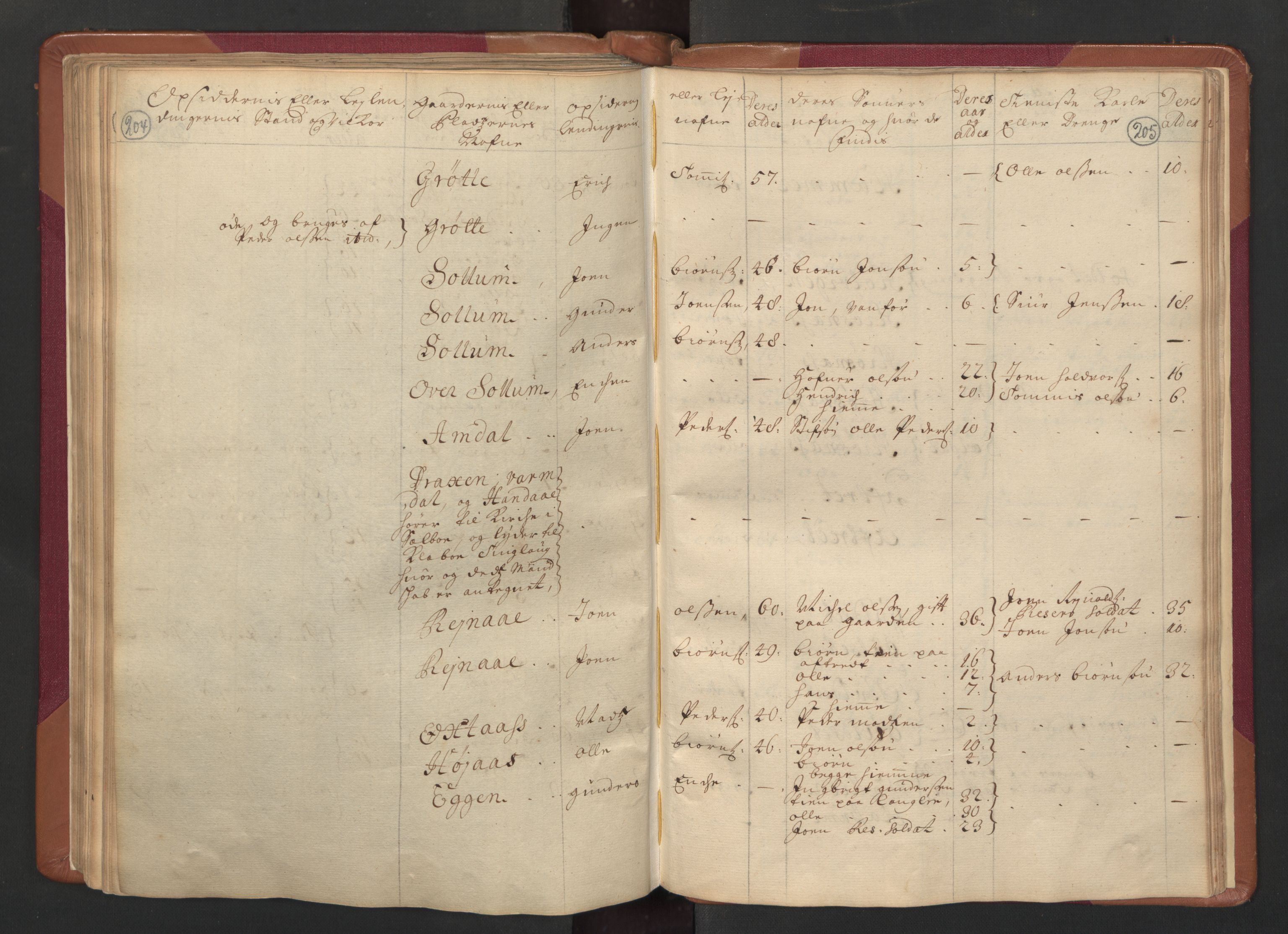 RA, Census (manntall) 1701, no. 14: Strinda and Selbu fogderi, 1701, p. 204-205