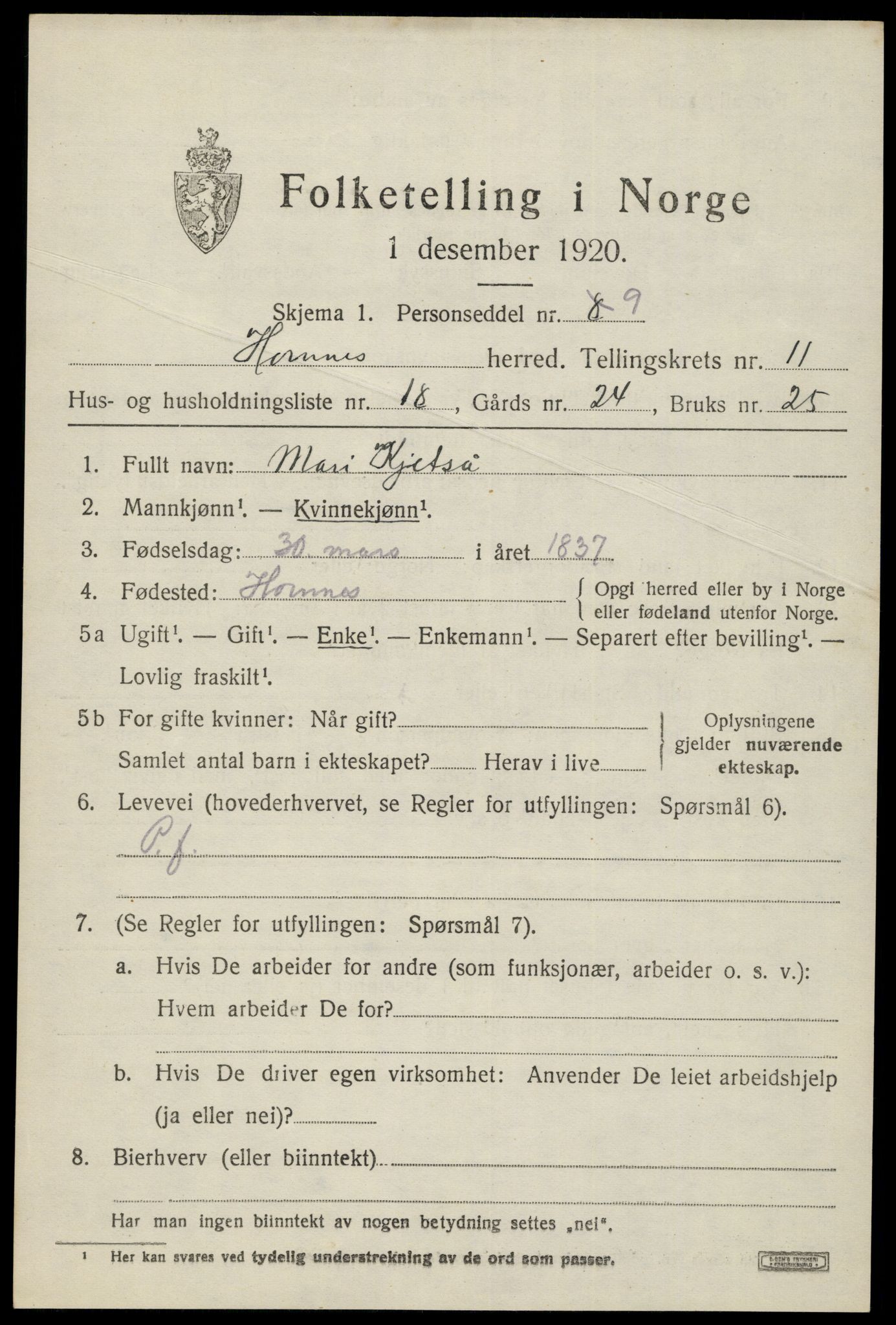 SAK, 1920 census for Hornnes, 1920, p. 2861