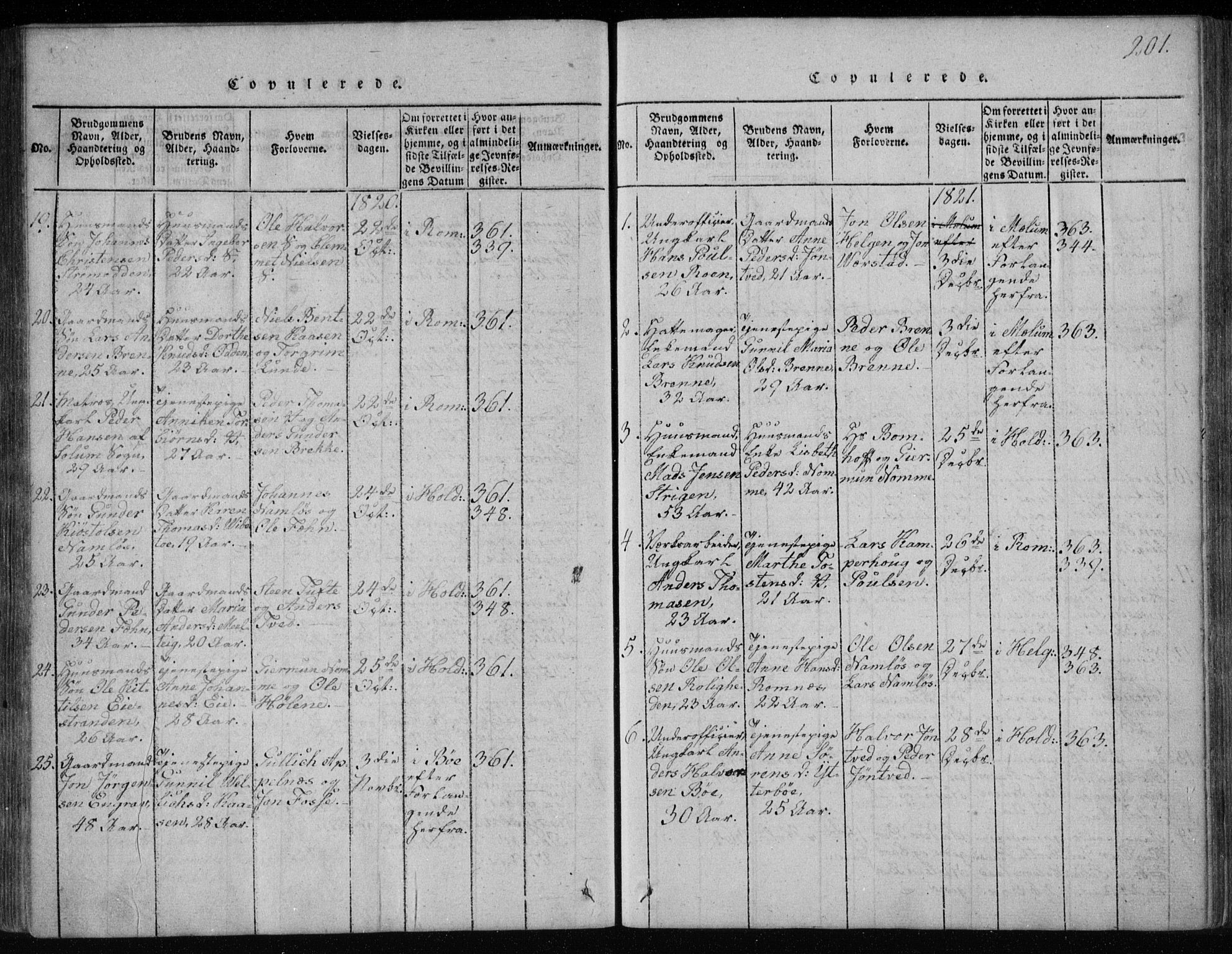 Holla kirkebøker, SAKO/A-272/F/Fa/L0003: Parish register (official) no. 3, 1815-1830, p. 201