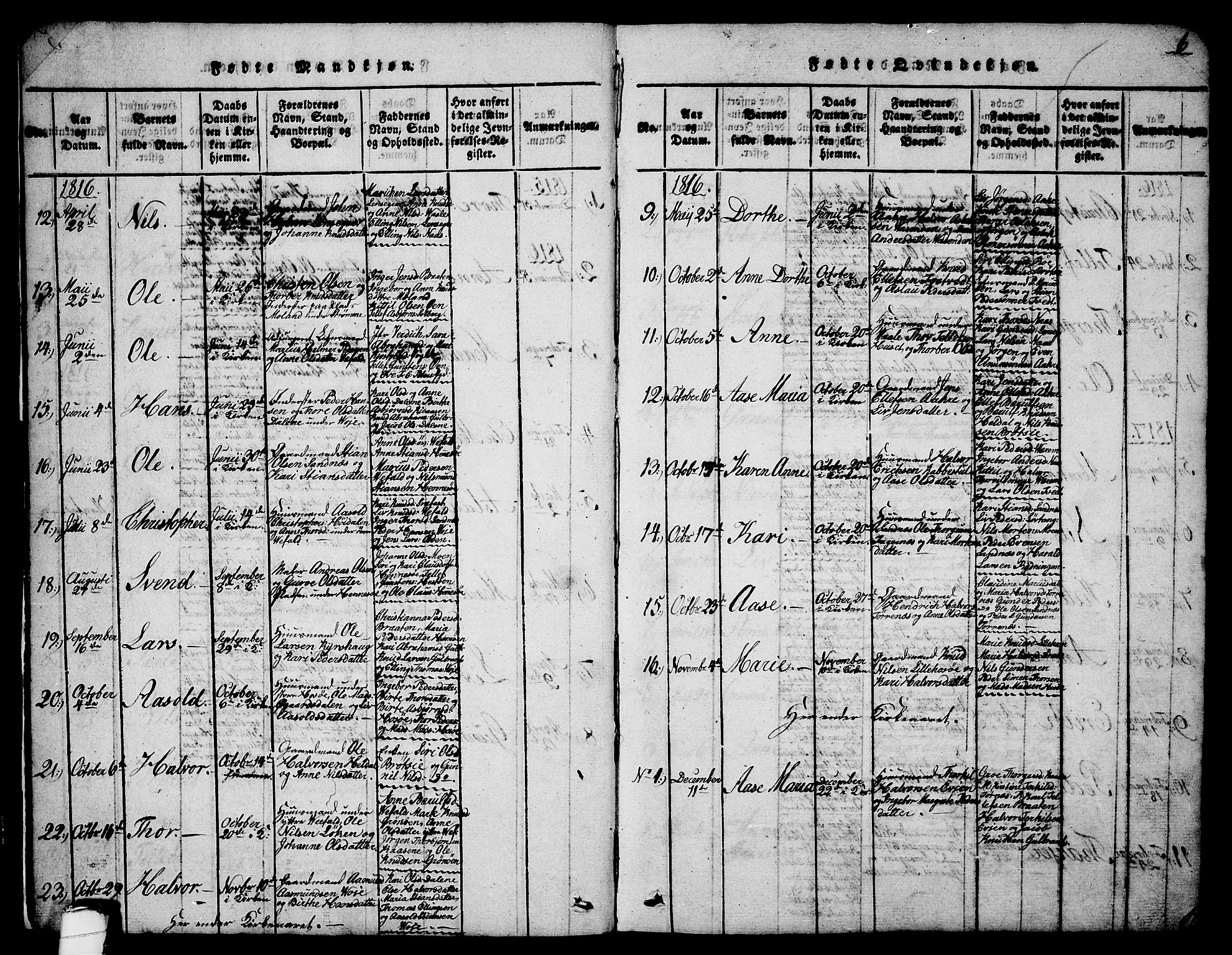 Drangedal kirkebøker, SAKO/A-258/G/Ga/L0001: Parish register (copy) no. I 1 /1, 1814-1856, p. 6